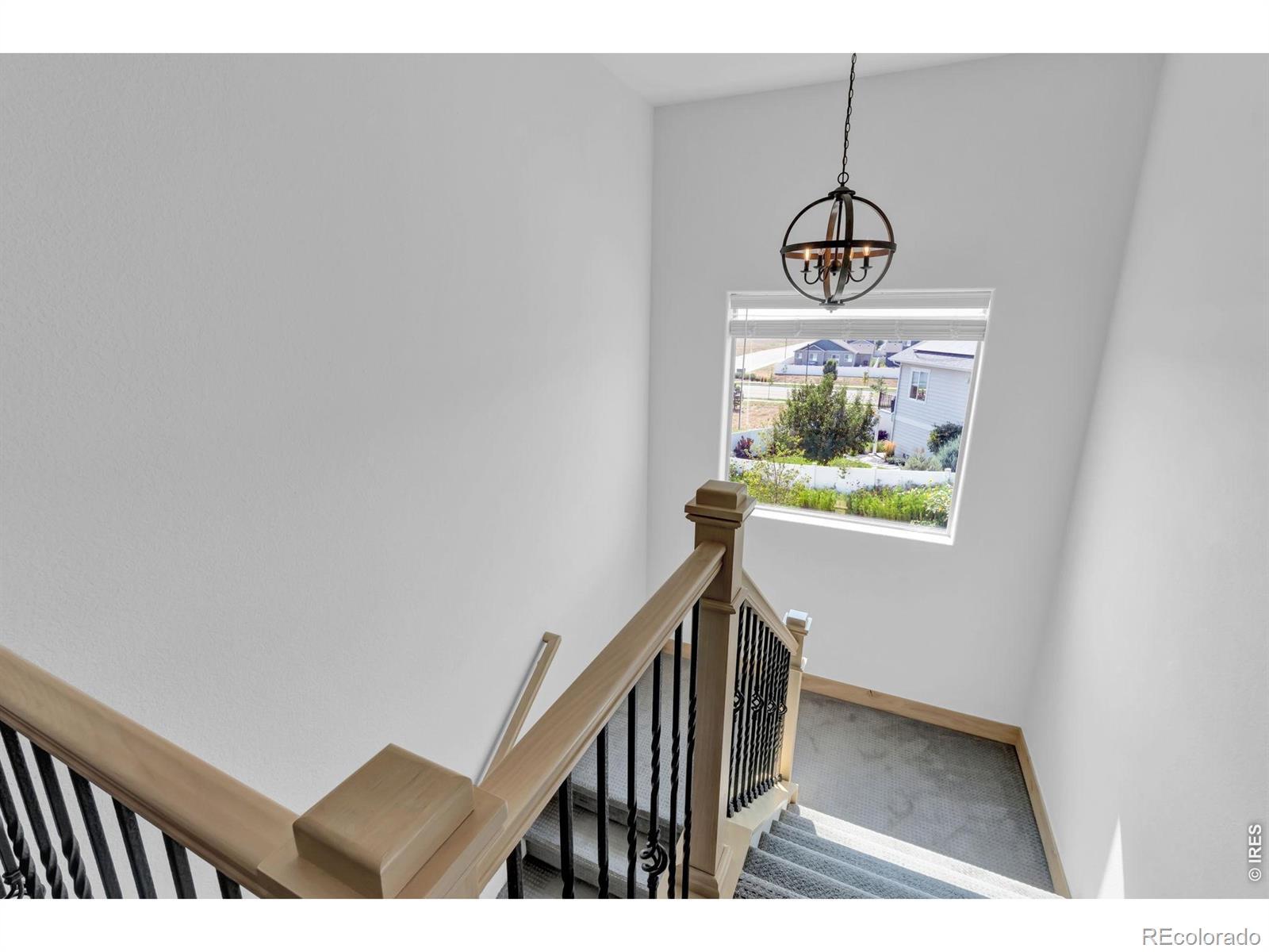MLS Image #20 for 1699  corby drive,windsor, Colorado