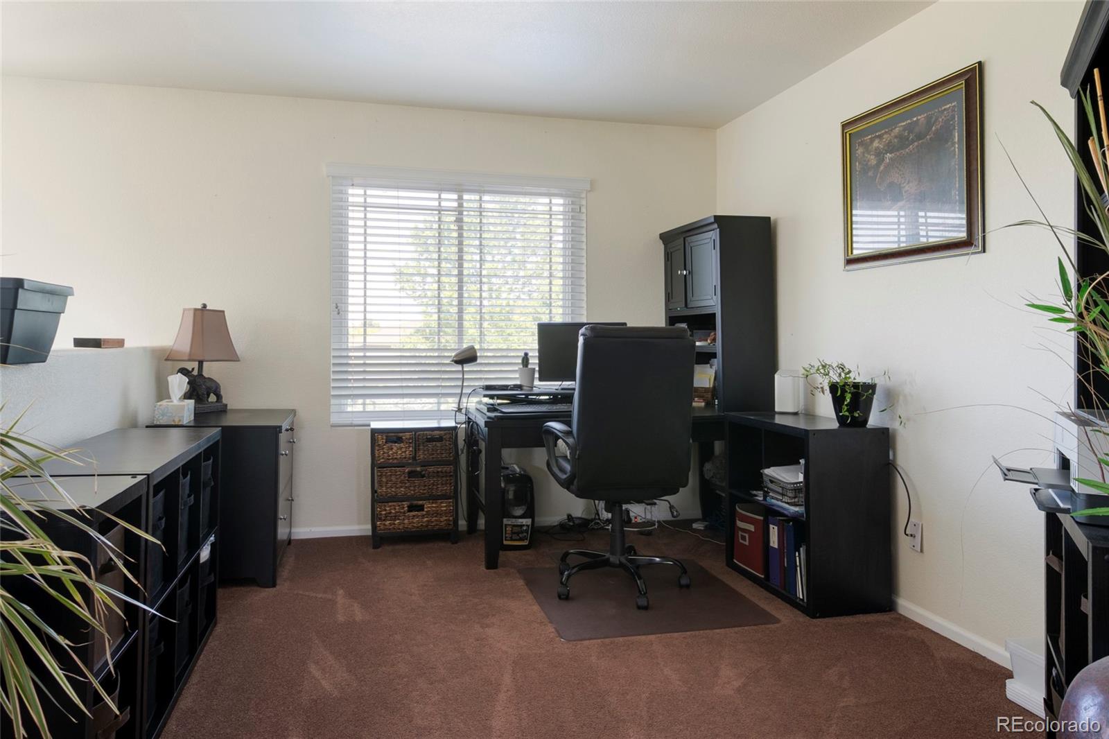 MLS Image #17 for 24167 e 5th place,aurora, Colorado