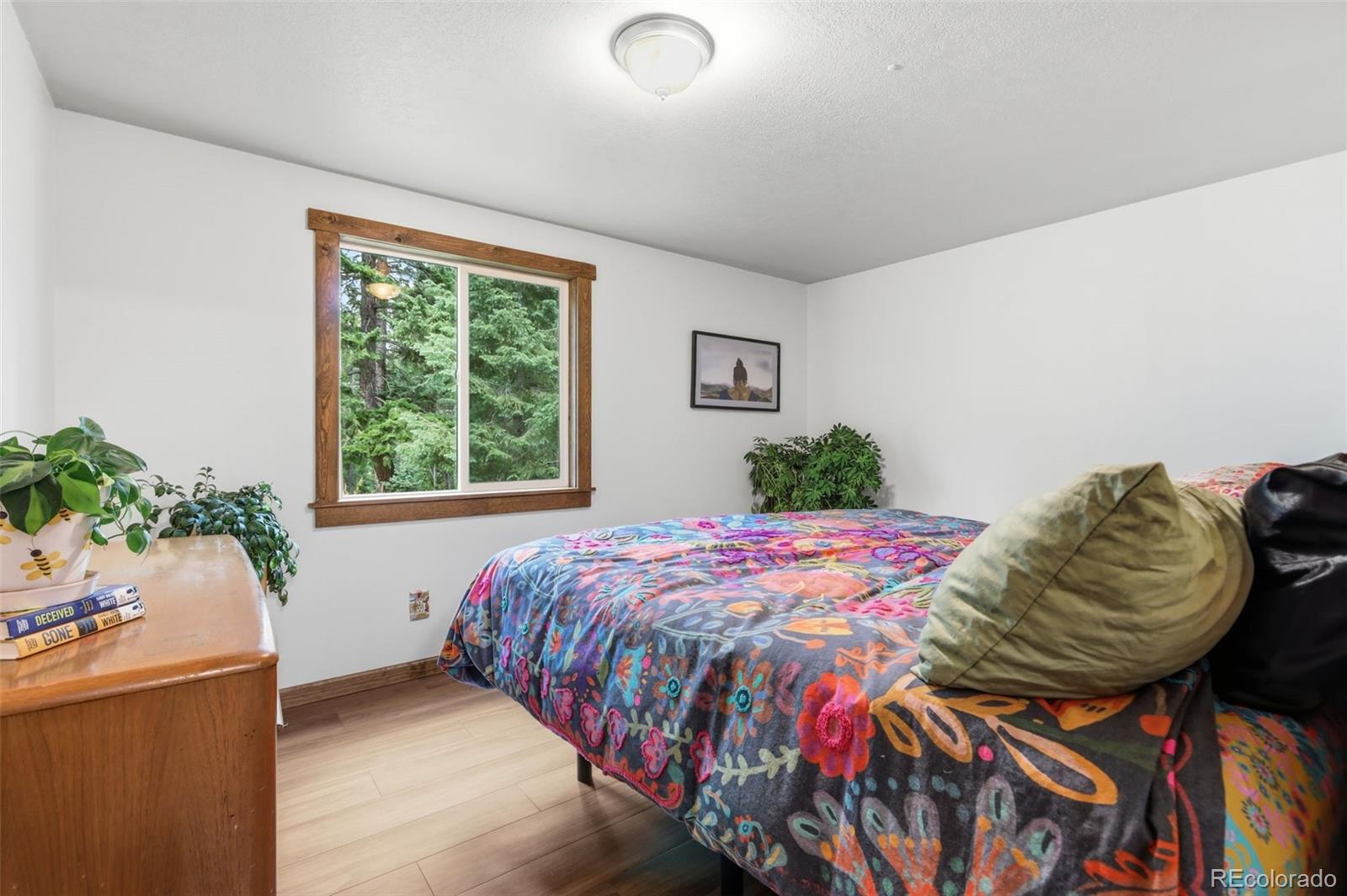 MLS Image #26 for 19133  silver ranch road,conifer, Colorado