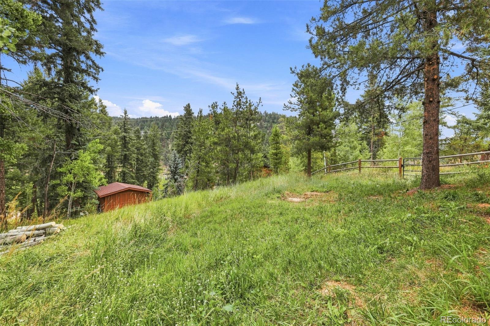 MLS Image #37 for 19133  silver ranch road,conifer, Colorado