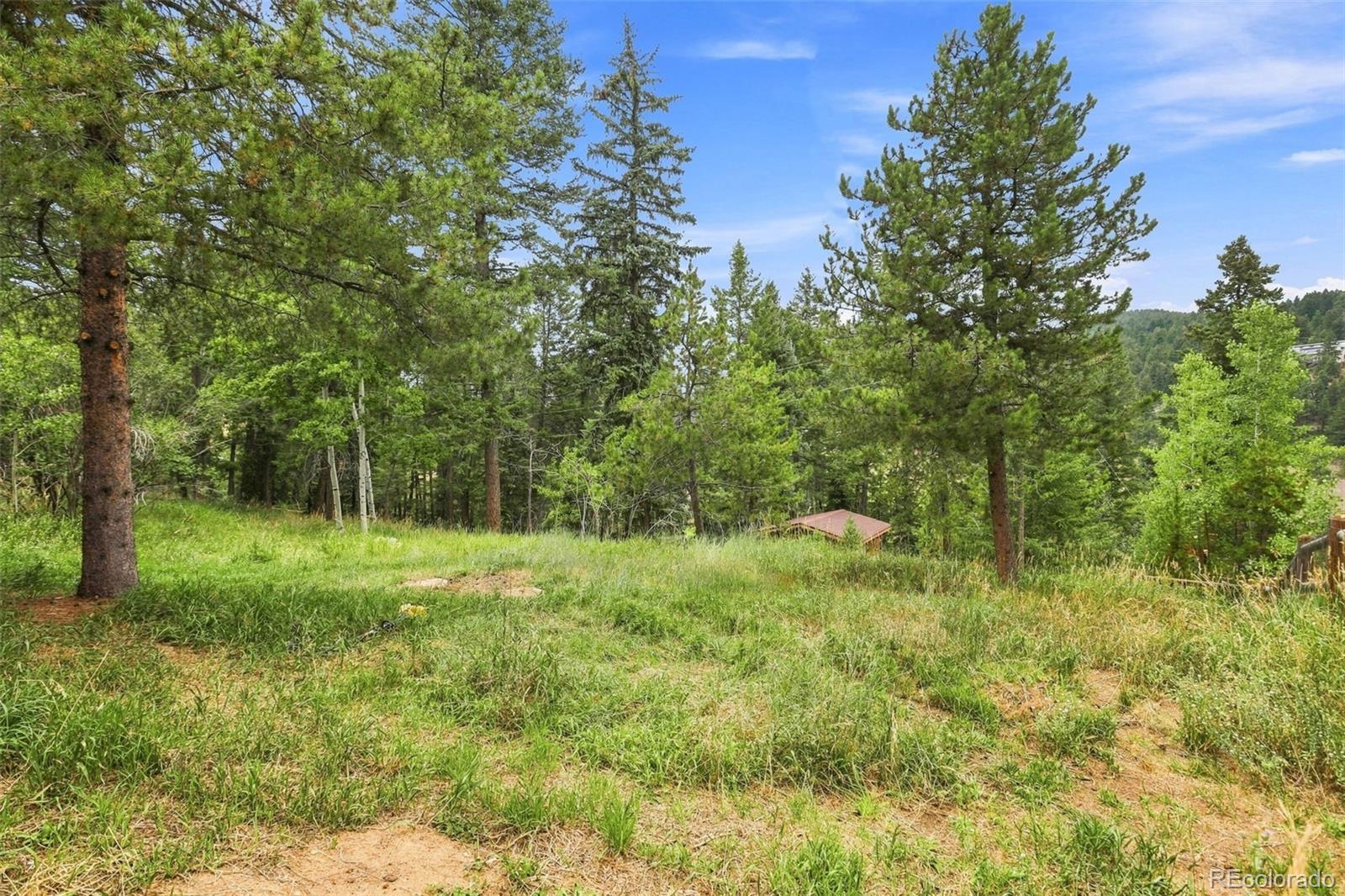 MLS Image #39 for 19133  silver ranch road,conifer, Colorado