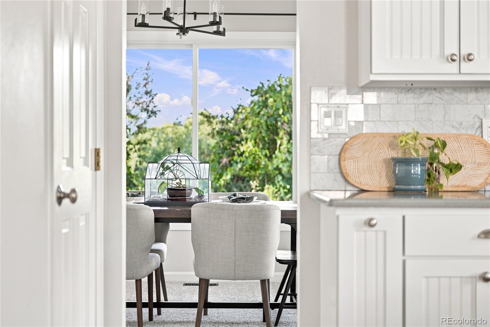MLS Image #14 for 7084  fox paw trail,littleton, Colorado
