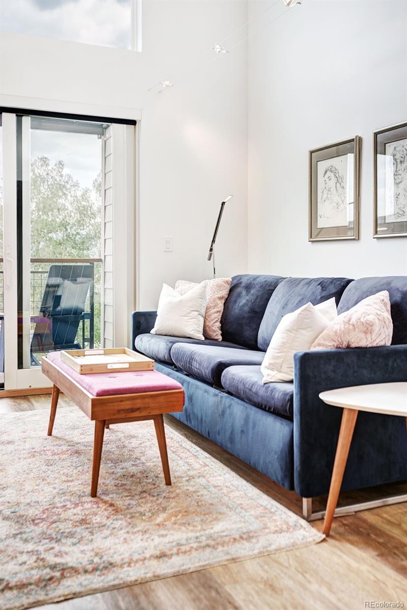 MLS Image #8 for 100  basecamp way,frisco, Colorado