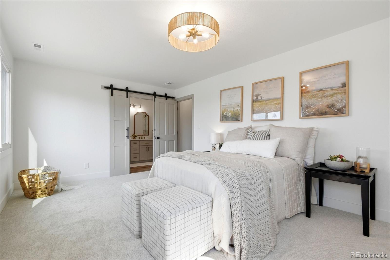 MLS Image #20 for 7528  queen circle,arvada, Colorado