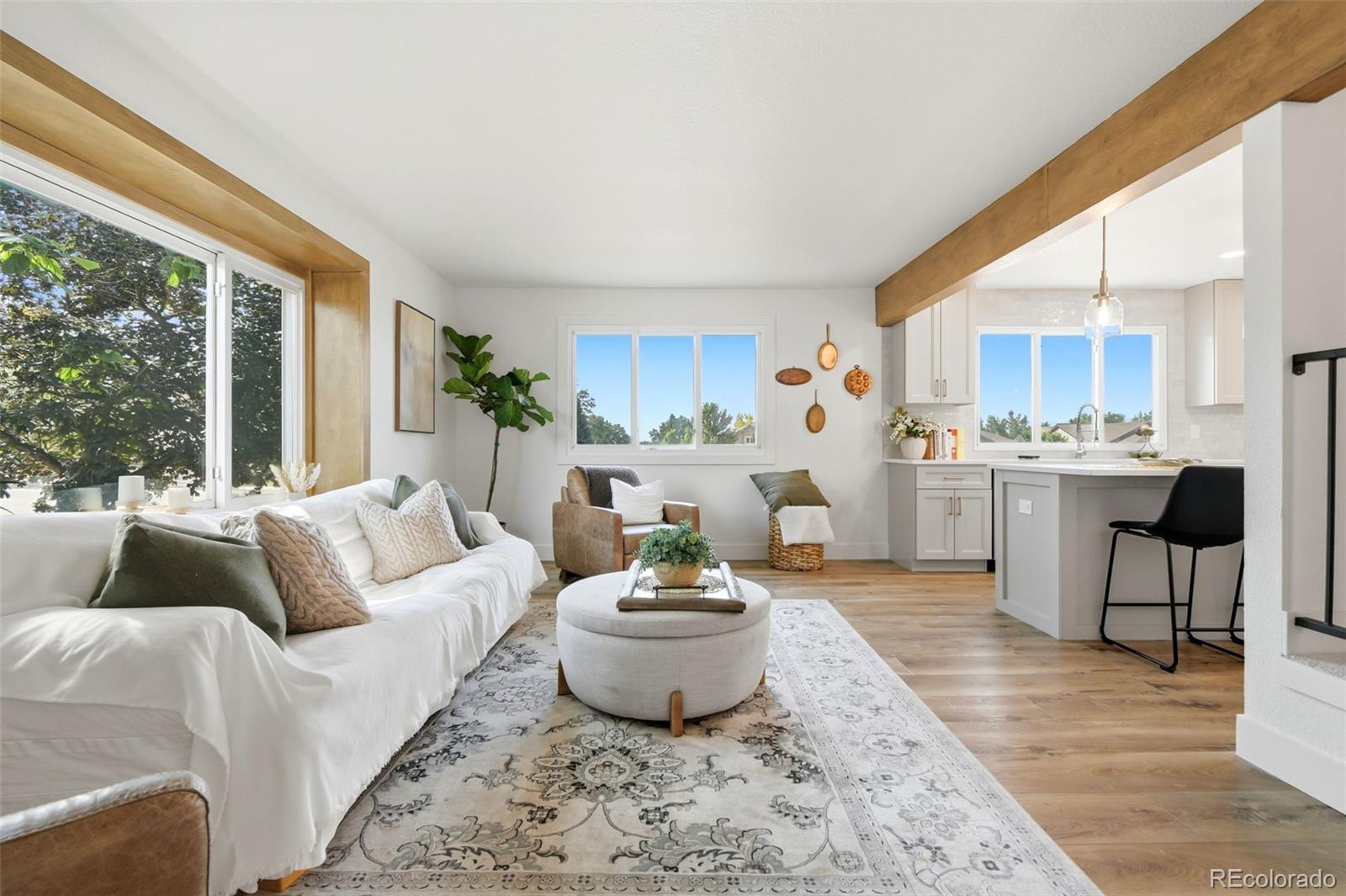 MLS Image #8 for 7528  queen circle,arvada, Colorado