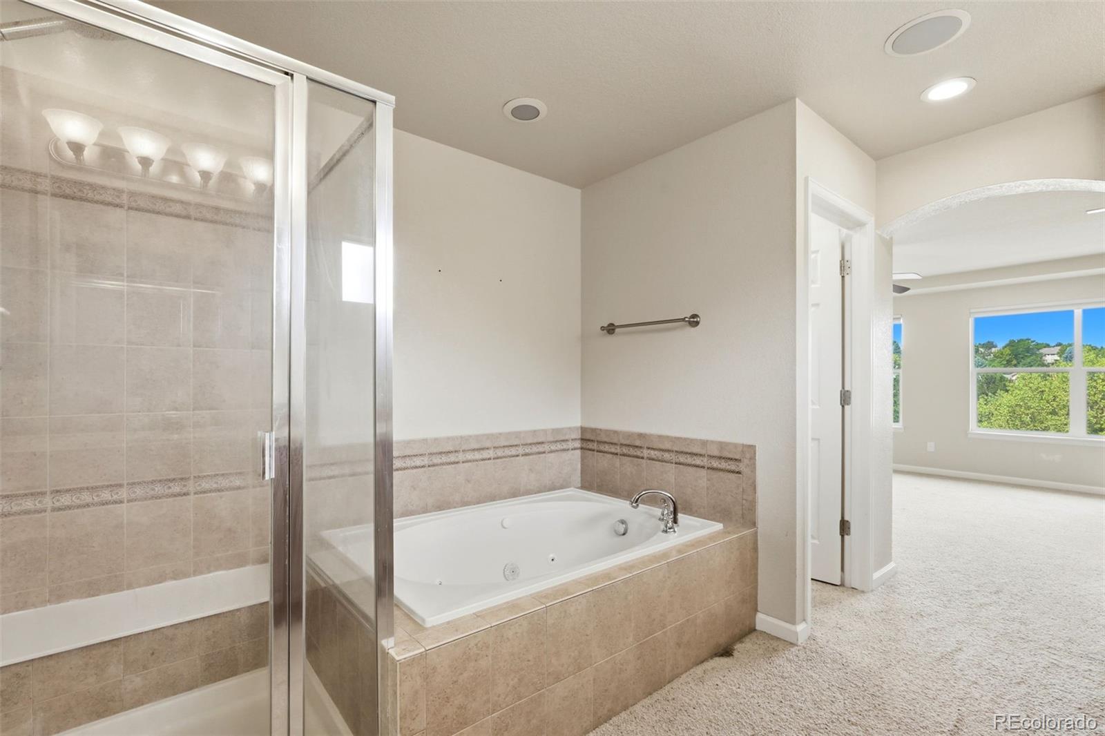 MLS Image #25 for 8343  briar trace way,castle rock, Colorado