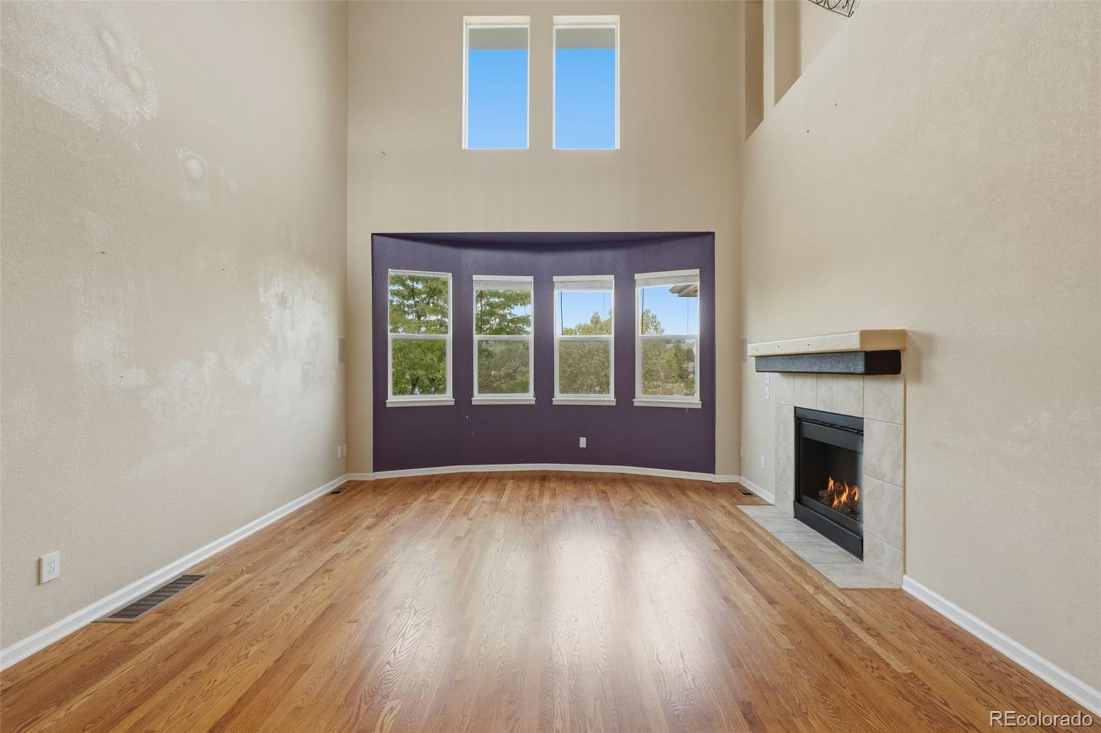 MLS Image #5 for 8343  briar trace way,castle rock, Colorado
