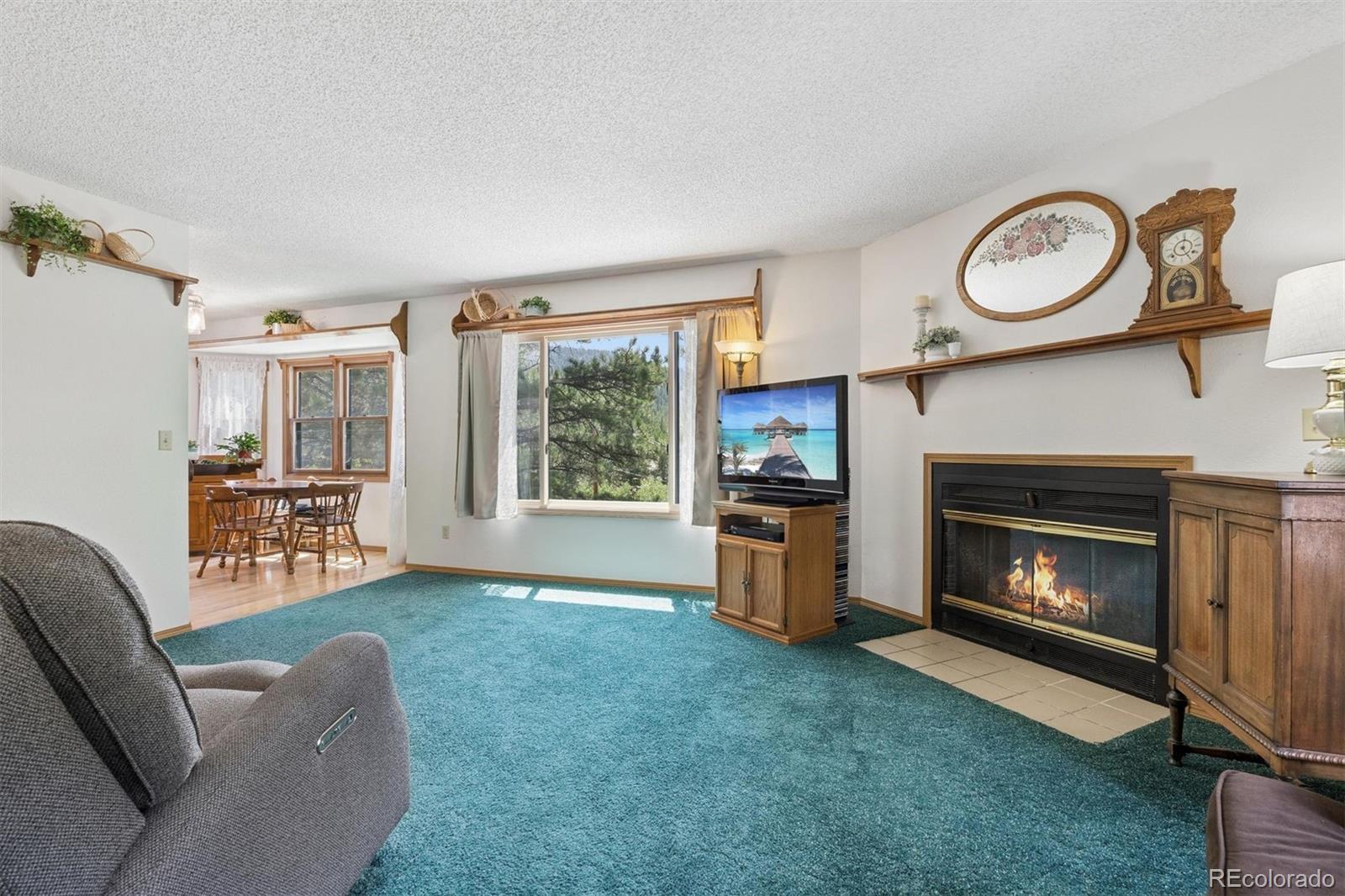 MLS Image #10 for 225  hell canyon road,estes park, Colorado