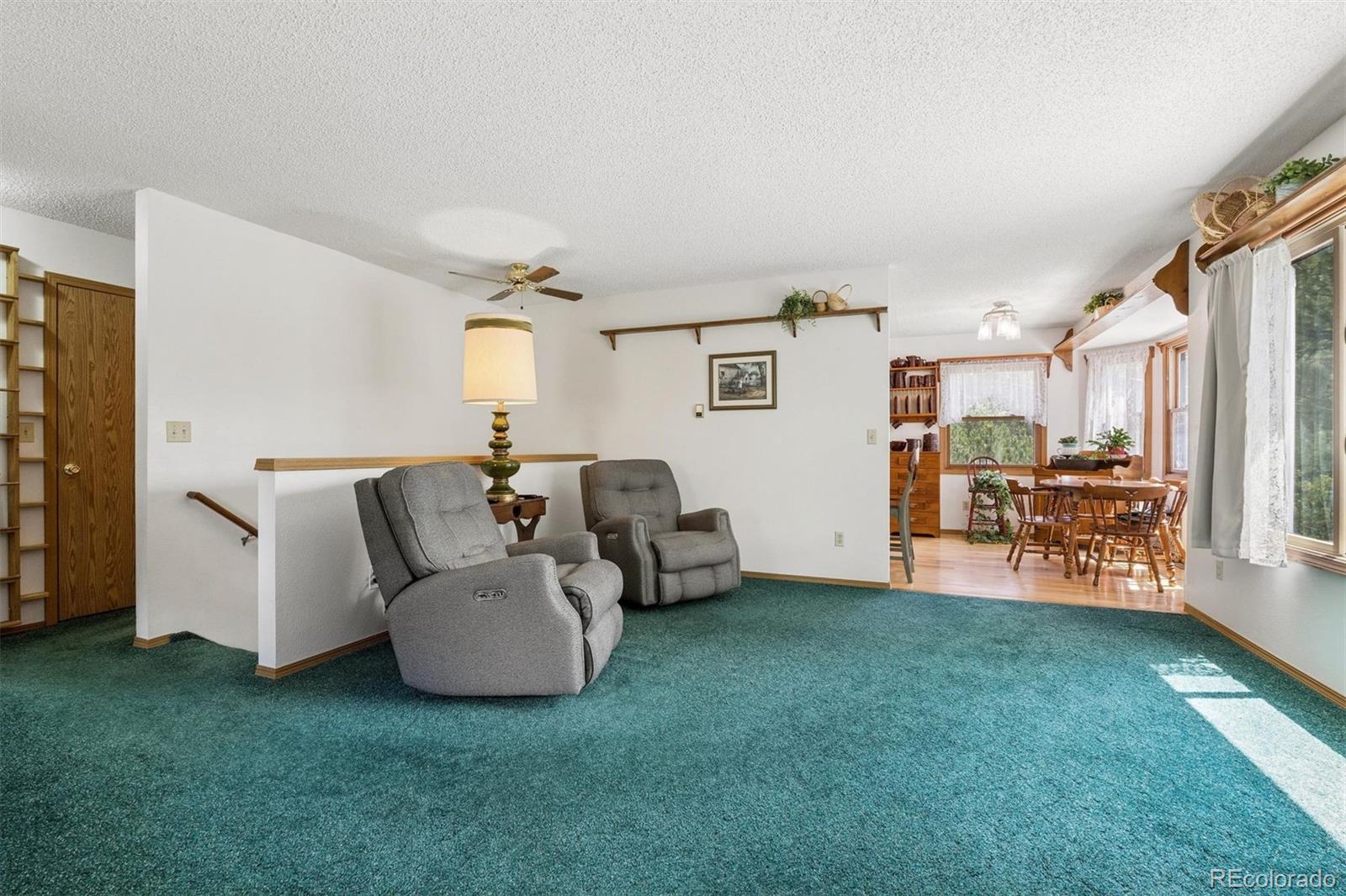 MLS Image #11 for 225  hell canyon road,estes park, Colorado