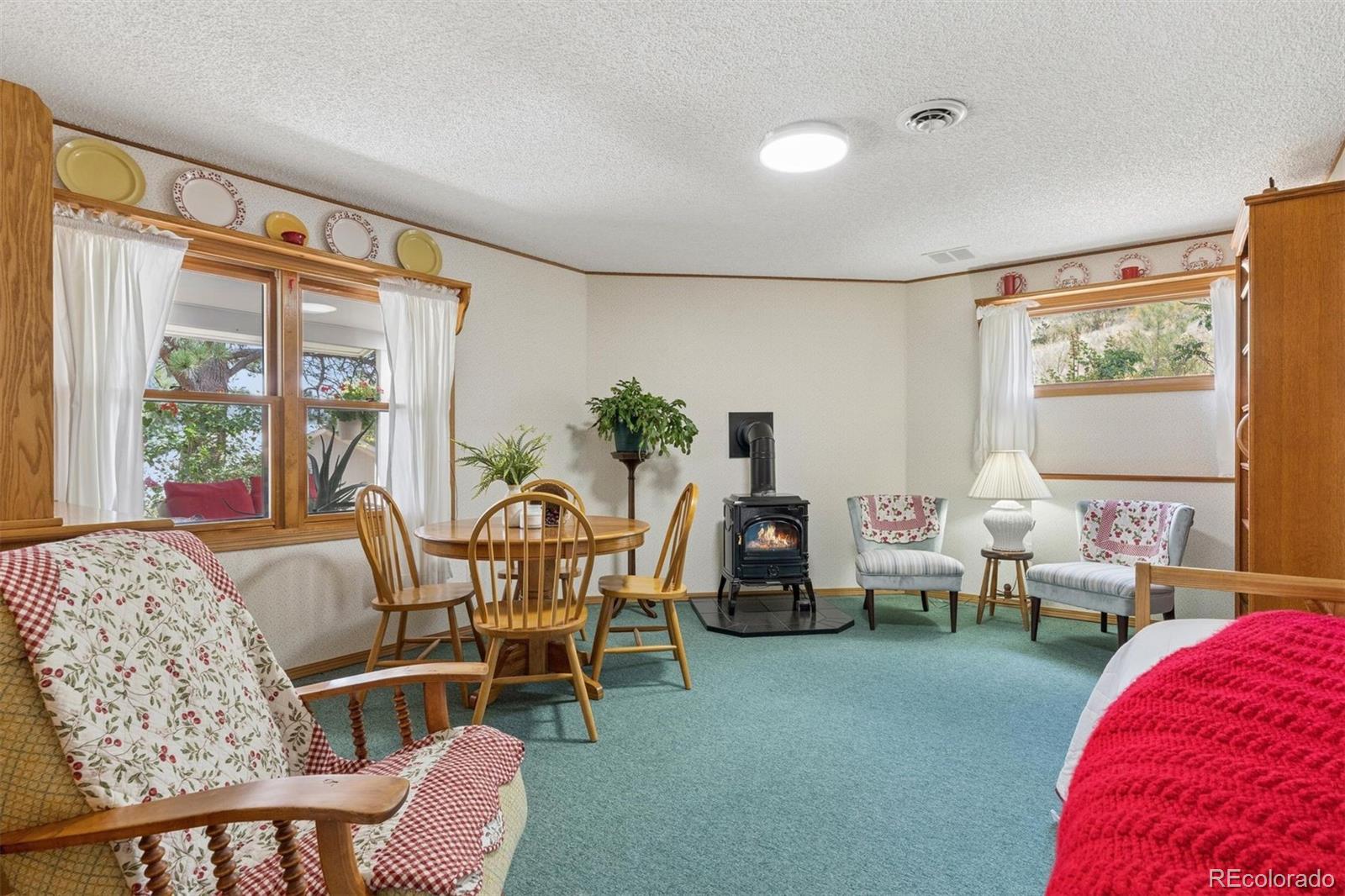 MLS Image #13 for 225  hell canyon road,estes park, Colorado