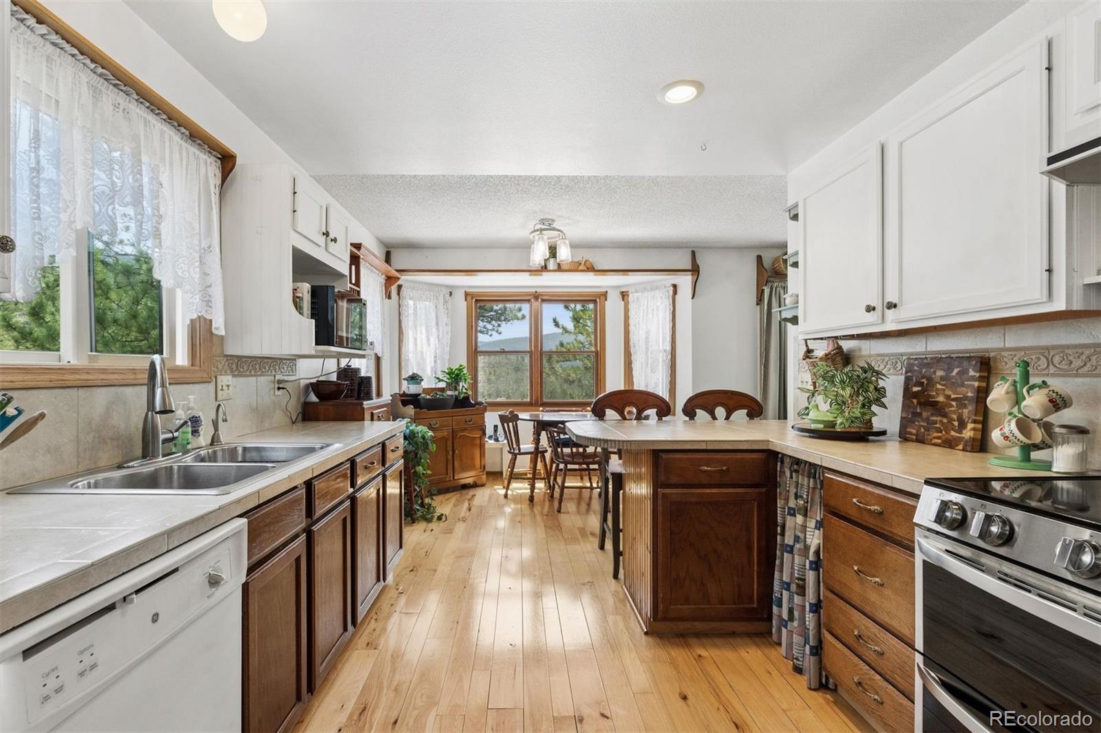 MLS Image #4 for 225  hell canyon road,estes park, Colorado