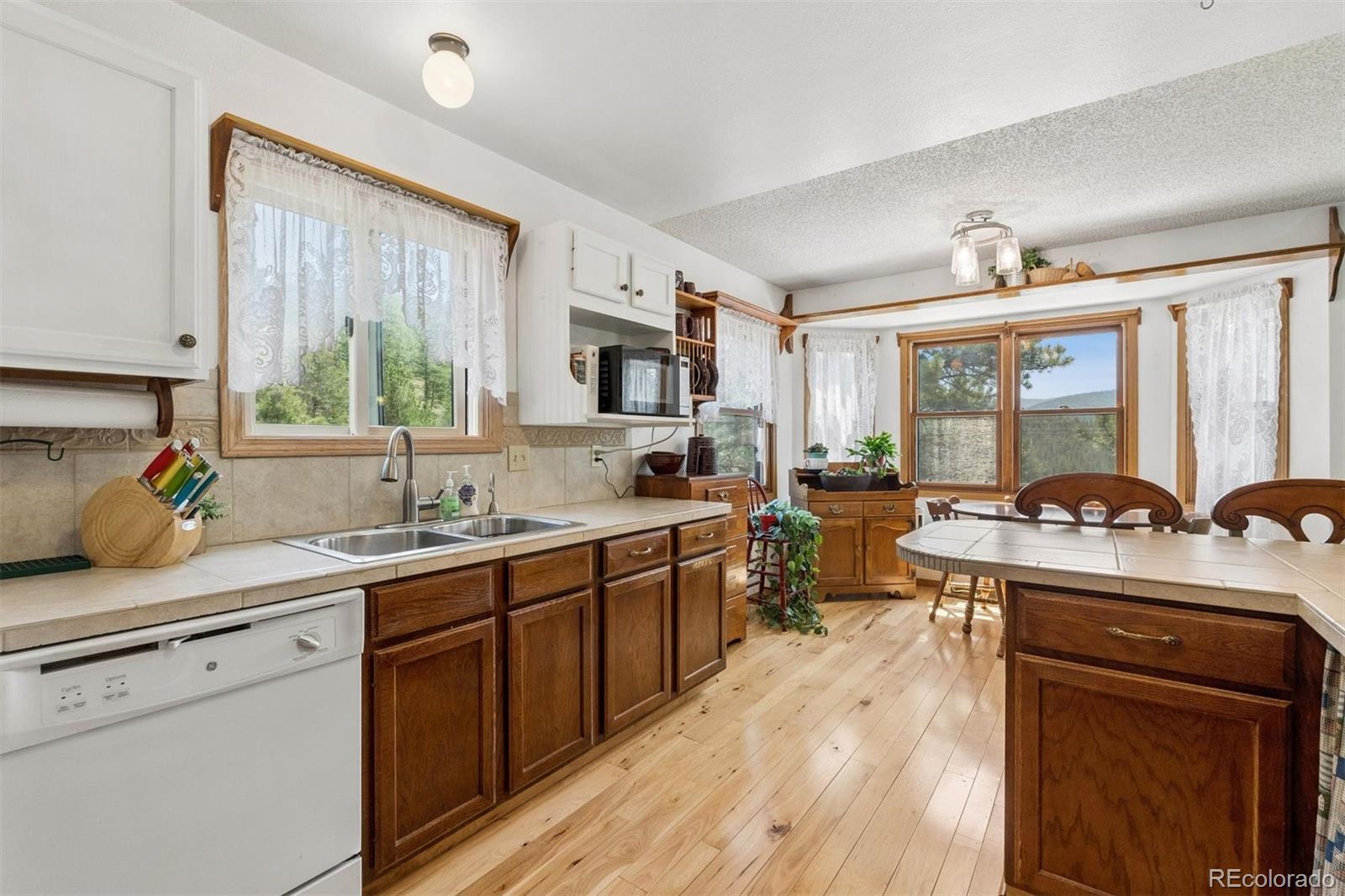 MLS Image #5 for 225  hell canyon road,estes park, Colorado