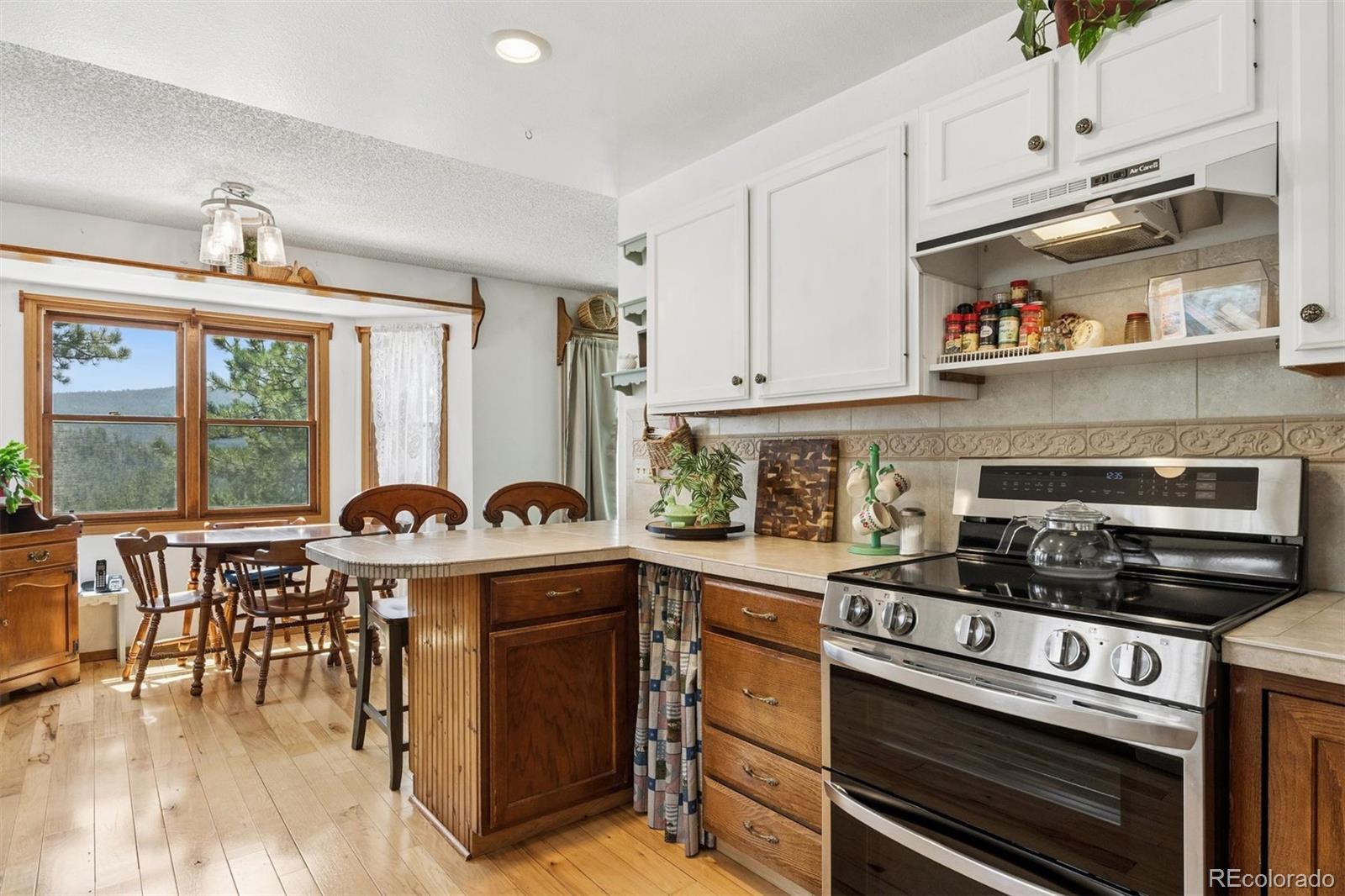 MLS Image #6 for 225  hell canyon road,estes park, Colorado