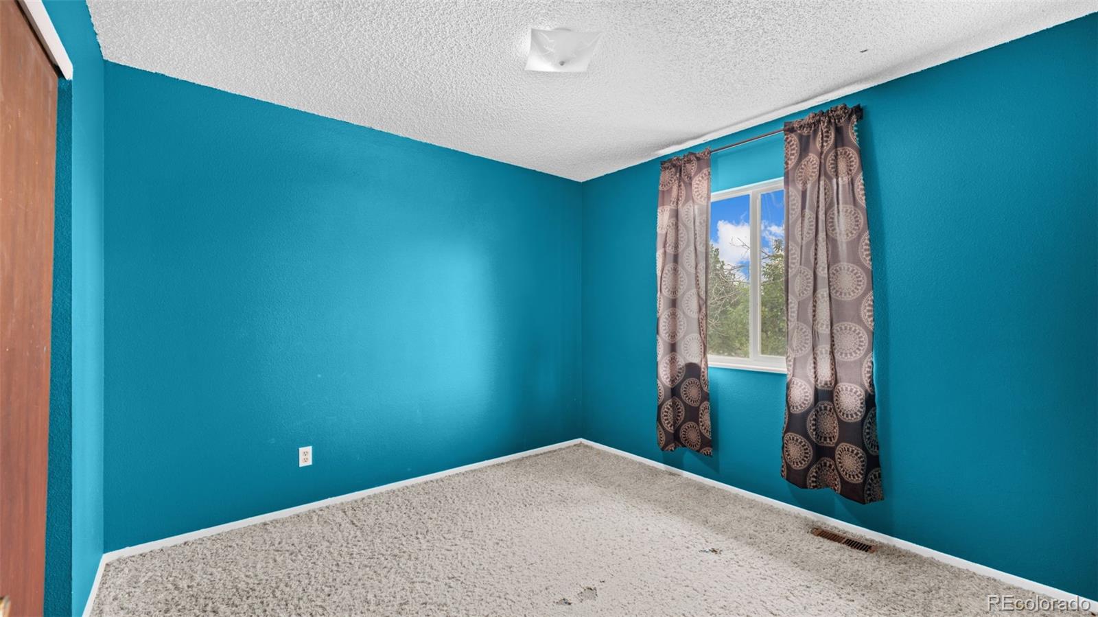 MLS Image #11 for 1615  mineola street,colorado springs, Colorado