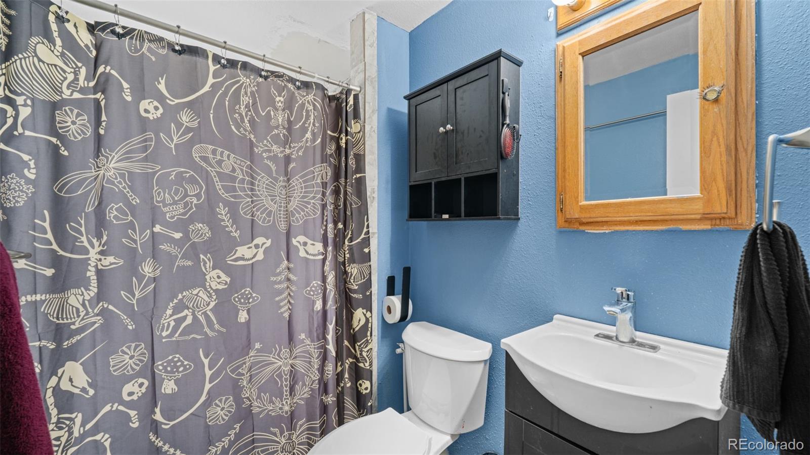 MLS Image #14 for 1615  mineola street,colorado springs, Colorado
