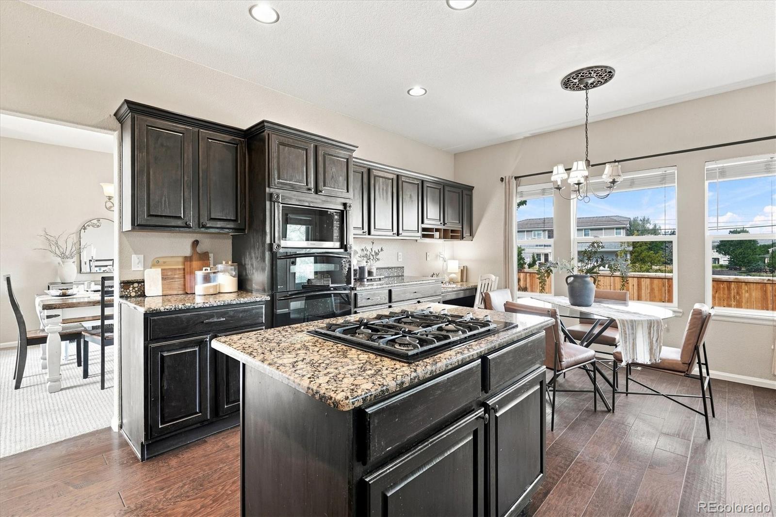MLS Image #17 for 23903 e winter springs place,parker, Colorado