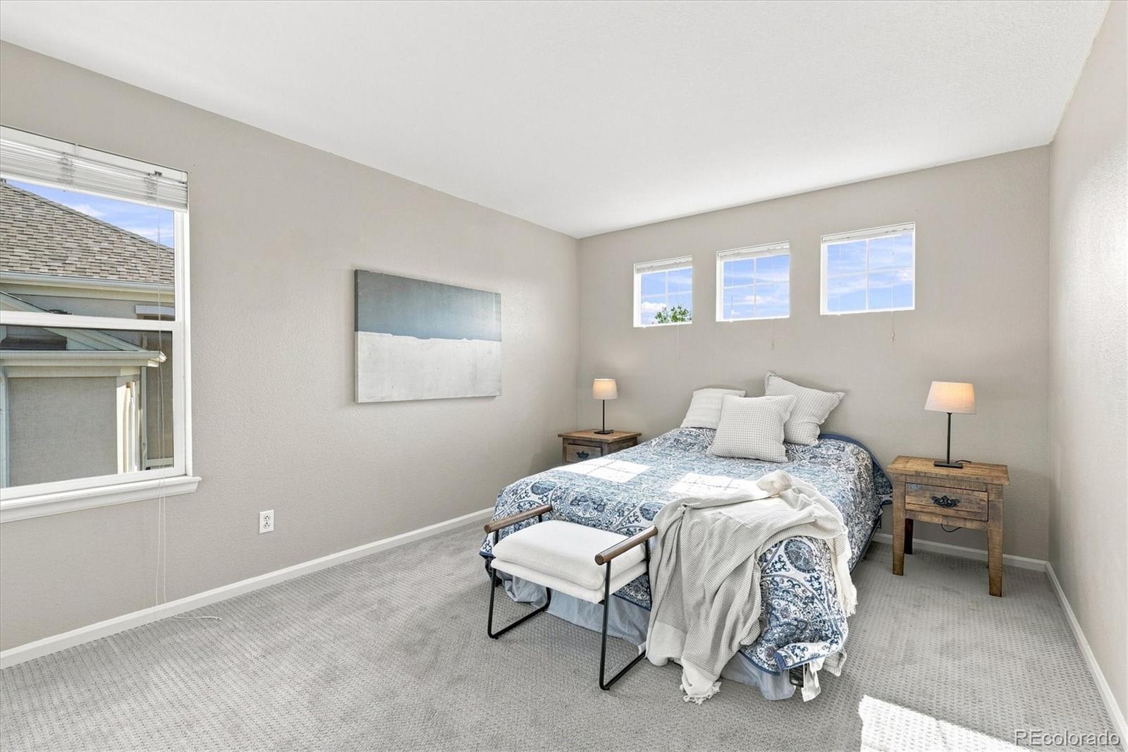 MLS Image #37 for 23903 e winter springs place,parker, Colorado