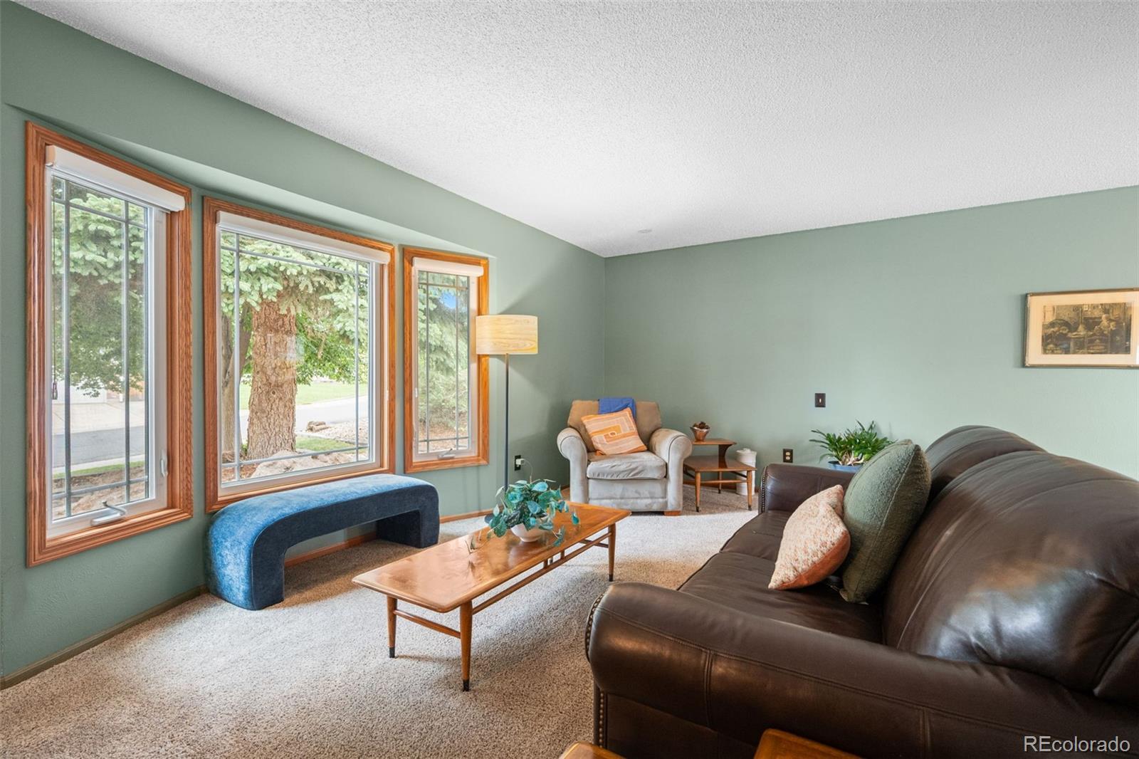 MLS Image #6 for 5482 s salida street,centennial, Colorado