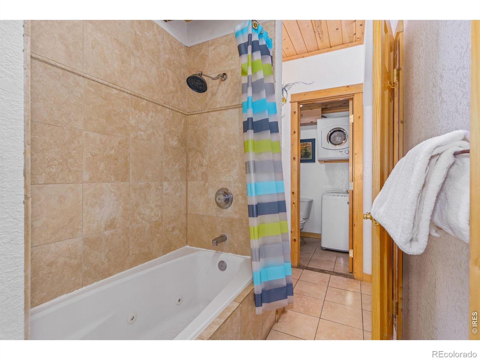 MLS Image #10 for 150 e riverside drive,estes park, Colorado