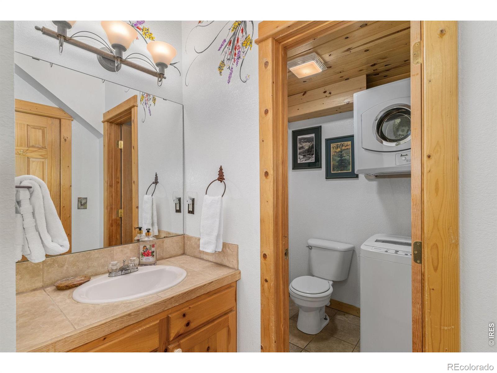 MLS Image #12 for 150 e riverside drive,estes park, Colorado