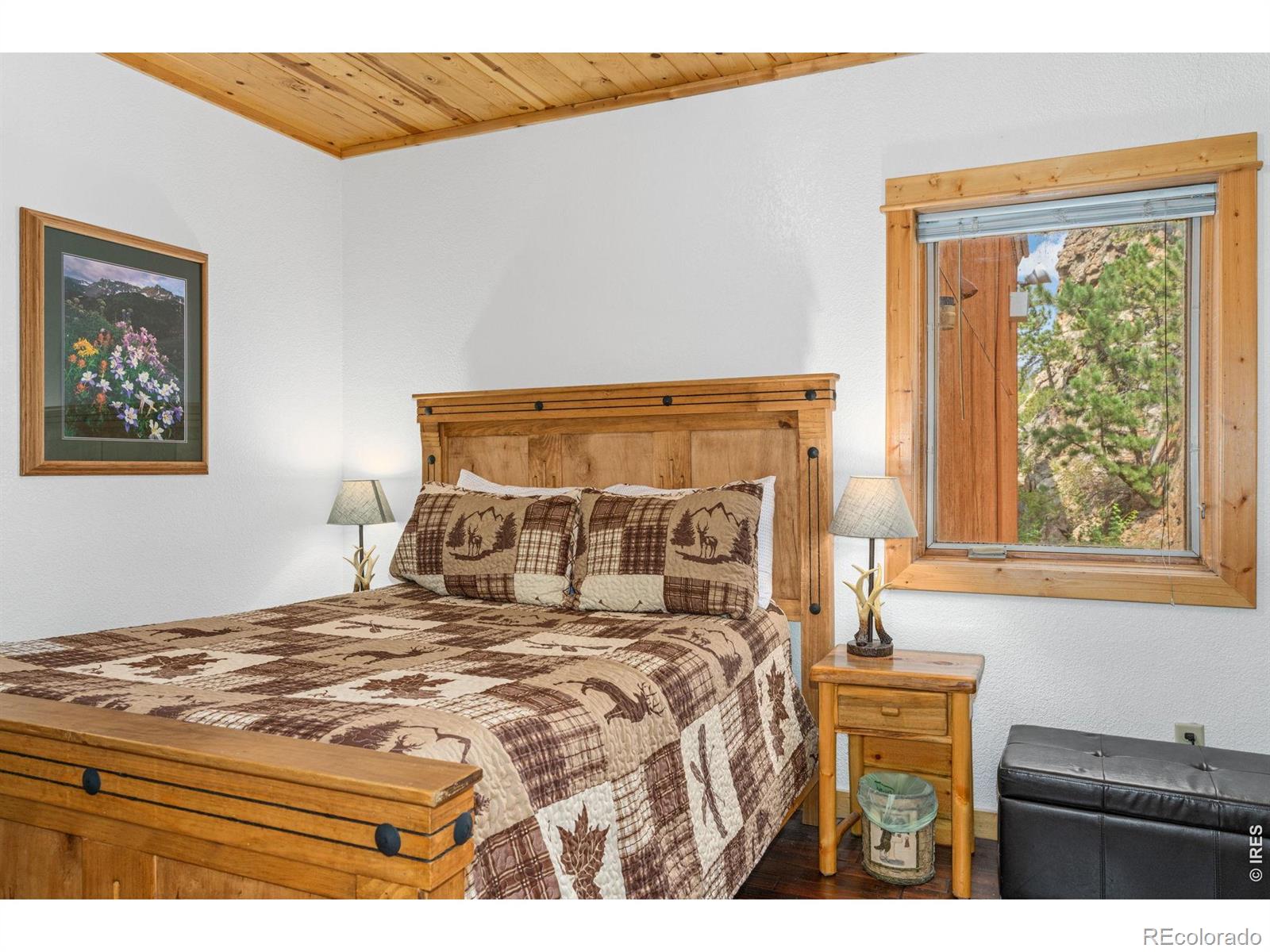 MLS Image #13 for 150 e riverside drive,estes park, Colorado