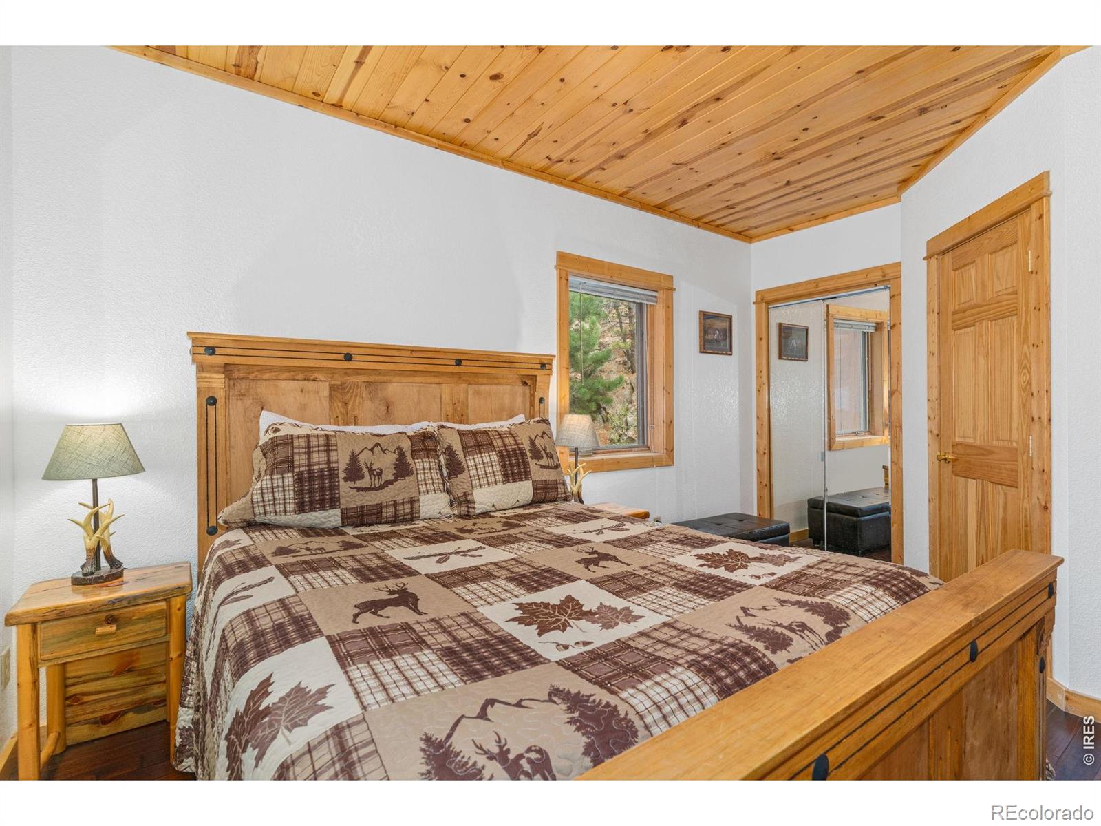 MLS Image #16 for 150 e riverside drive,estes park, Colorado