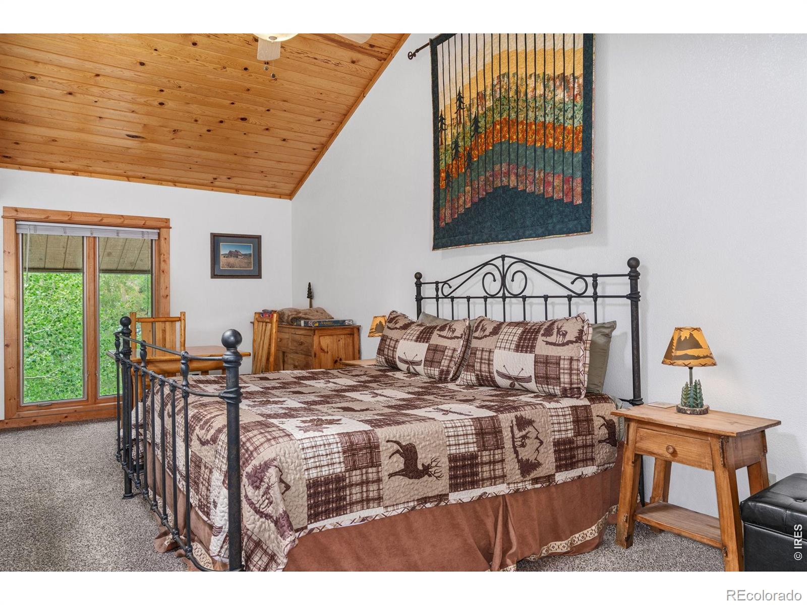 MLS Image #20 for 150 e riverside drive,estes park, Colorado