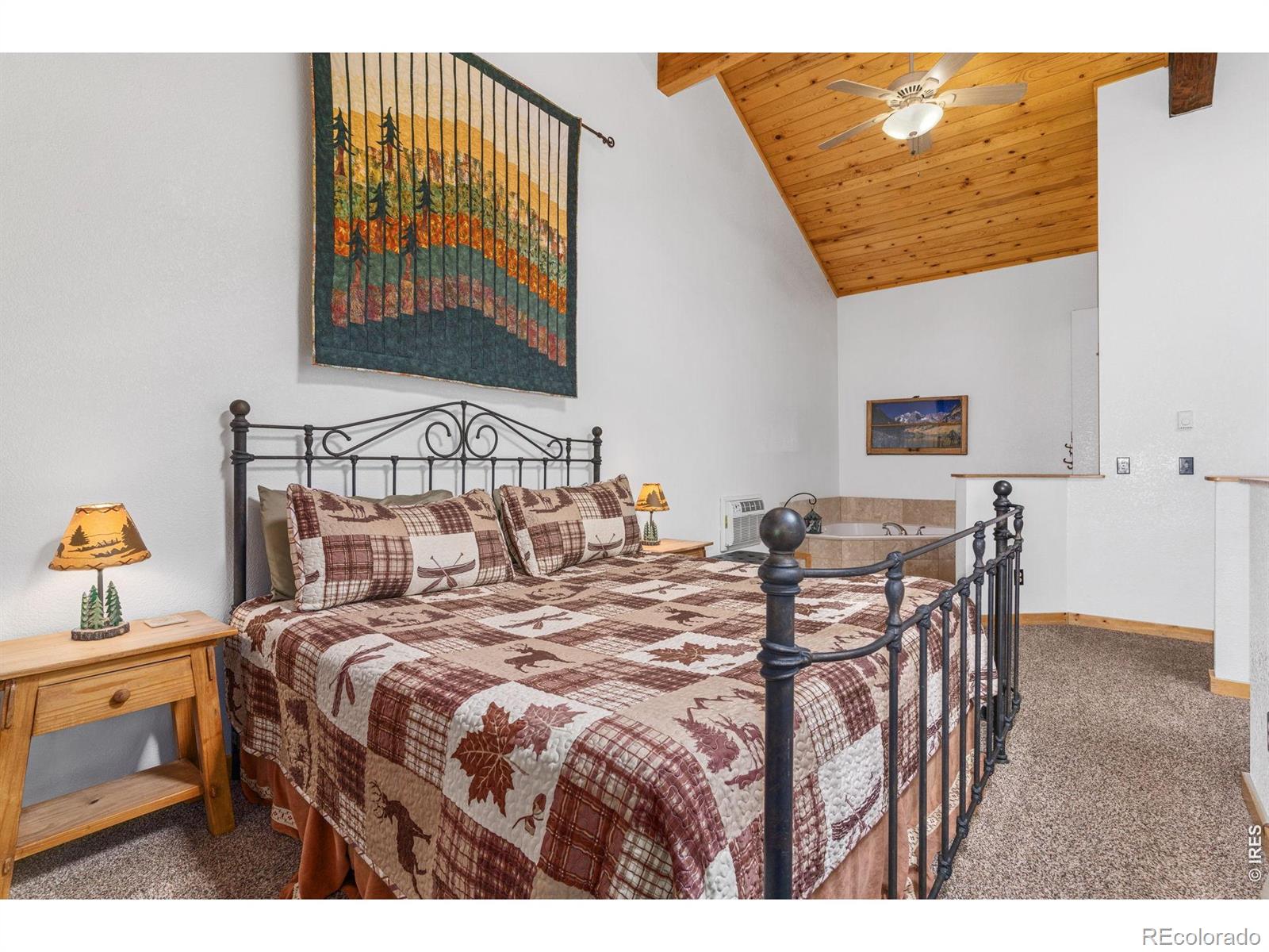 MLS Image #22 for 150 e riverside drive,estes park, Colorado