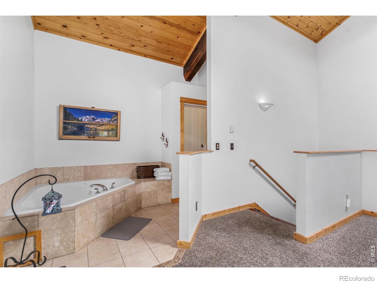 MLS Image #24 for 150 e riverside drive,estes park, Colorado