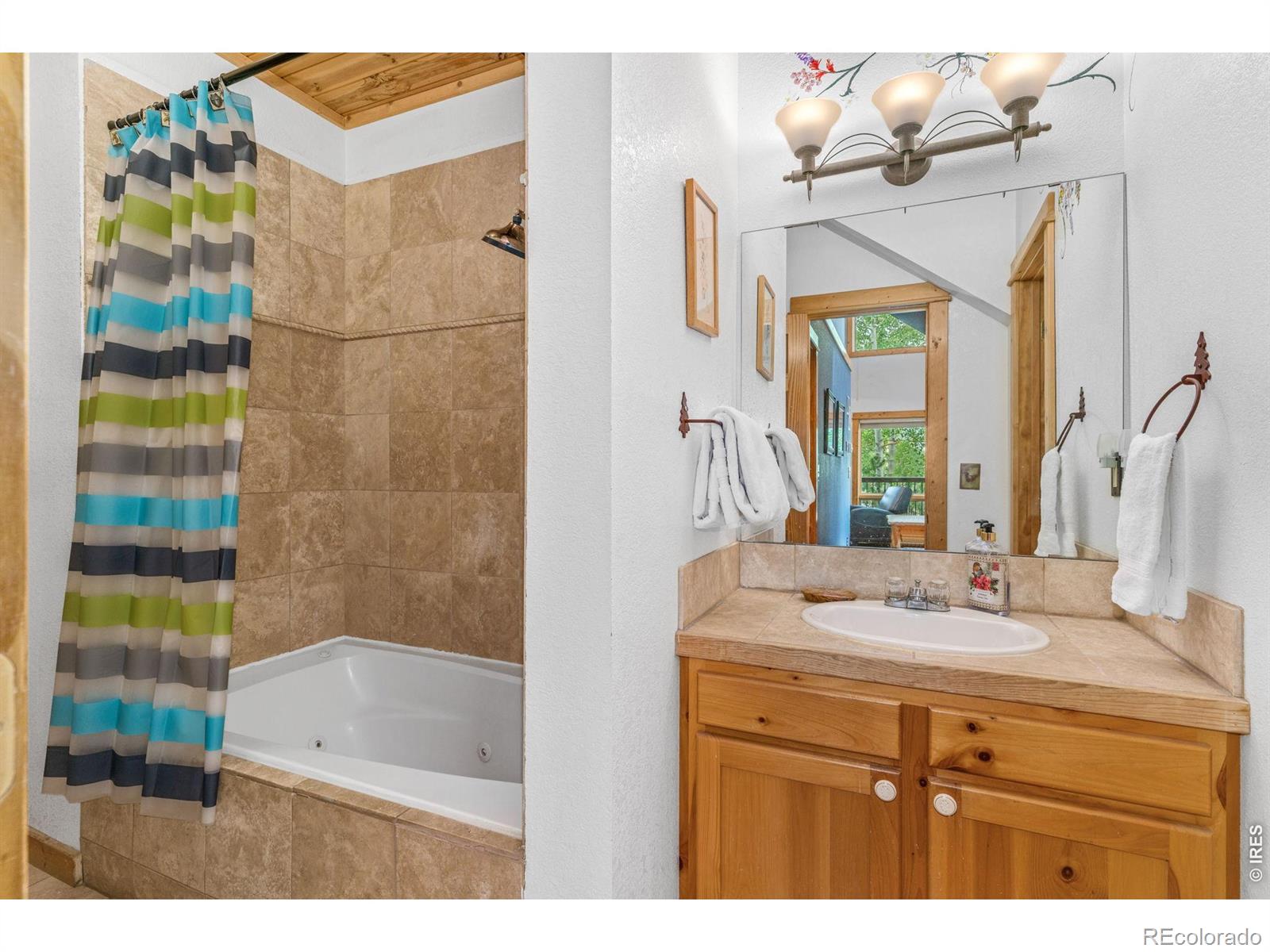 MLS Image #9 for 150 e riverside drive,estes park, Colorado