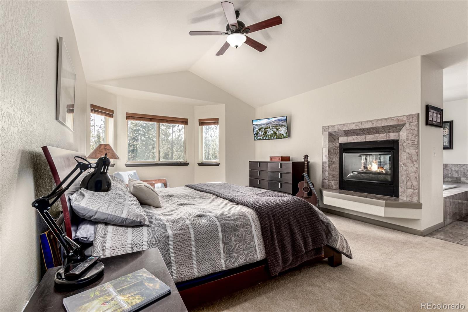 MLS Image #15 for 308  red hawk circle,silverthorne, Colorado