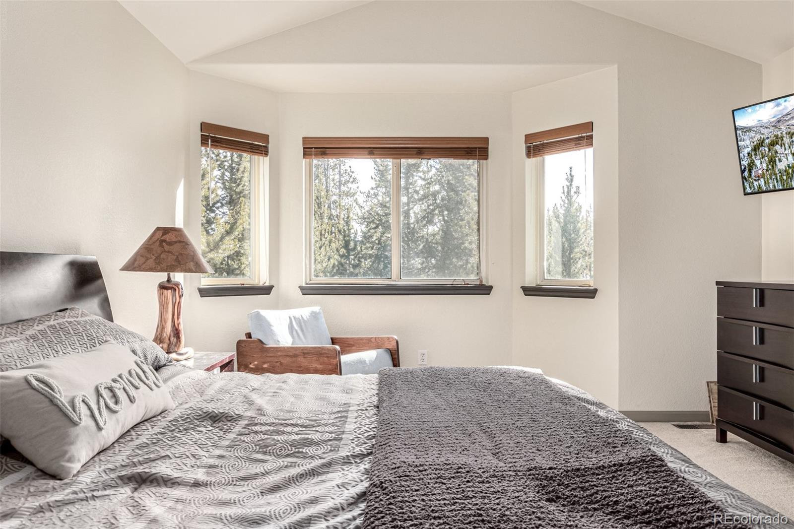 MLS Image #16 for 308  red hawk circle,silverthorne, Colorado