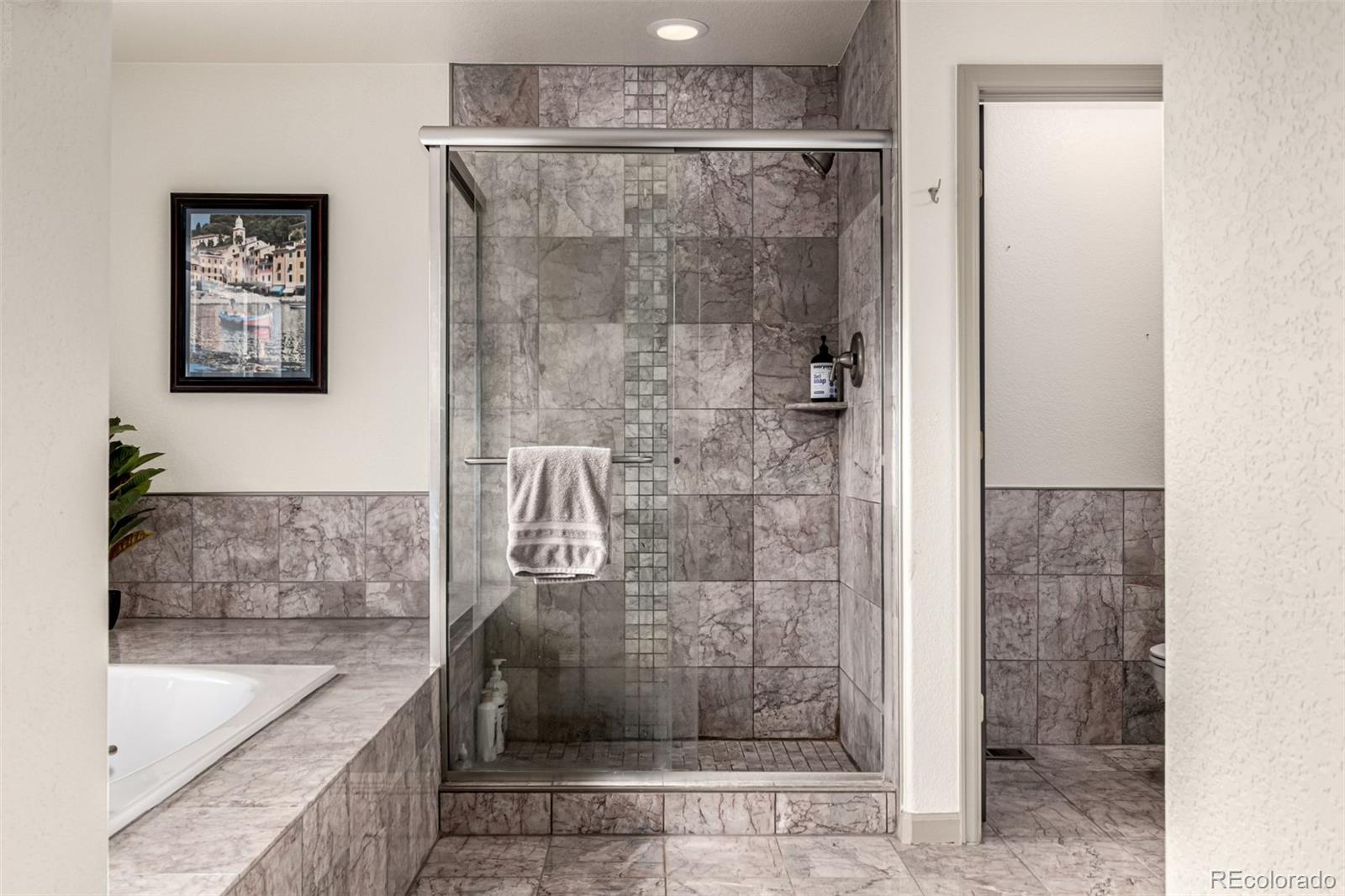 MLS Image #19 for 308  red hawk circle,silverthorne, Colorado