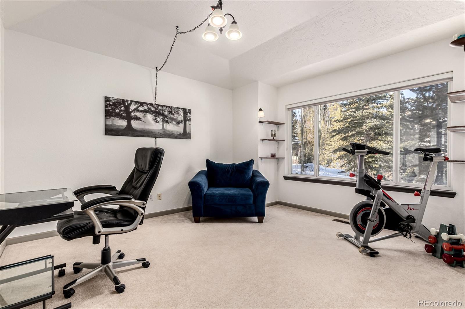 MLS Image #27 for 308  red hawk circle,silverthorne, Colorado