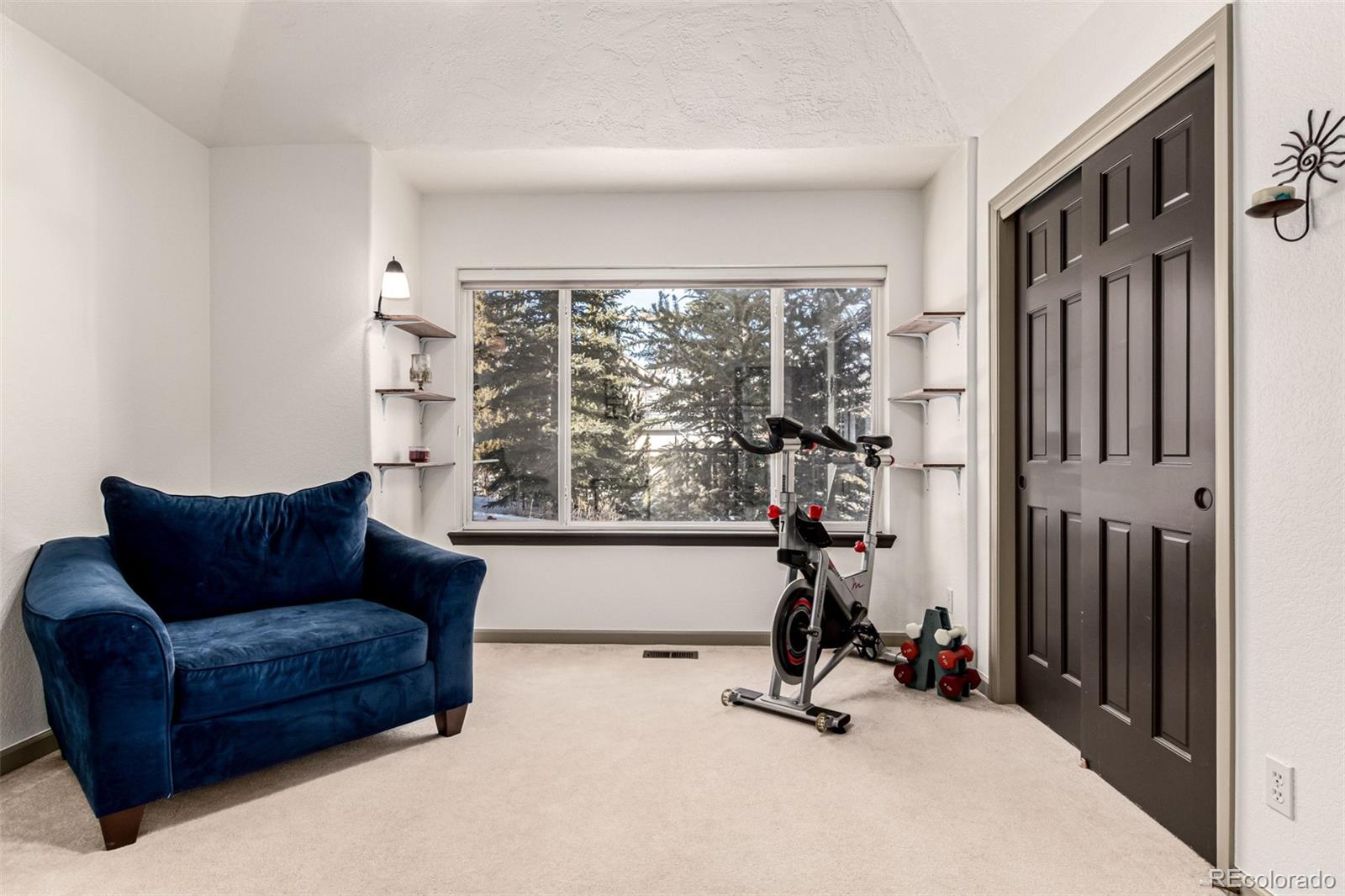 MLS Image #28 for 308  red hawk circle,silverthorne, Colorado