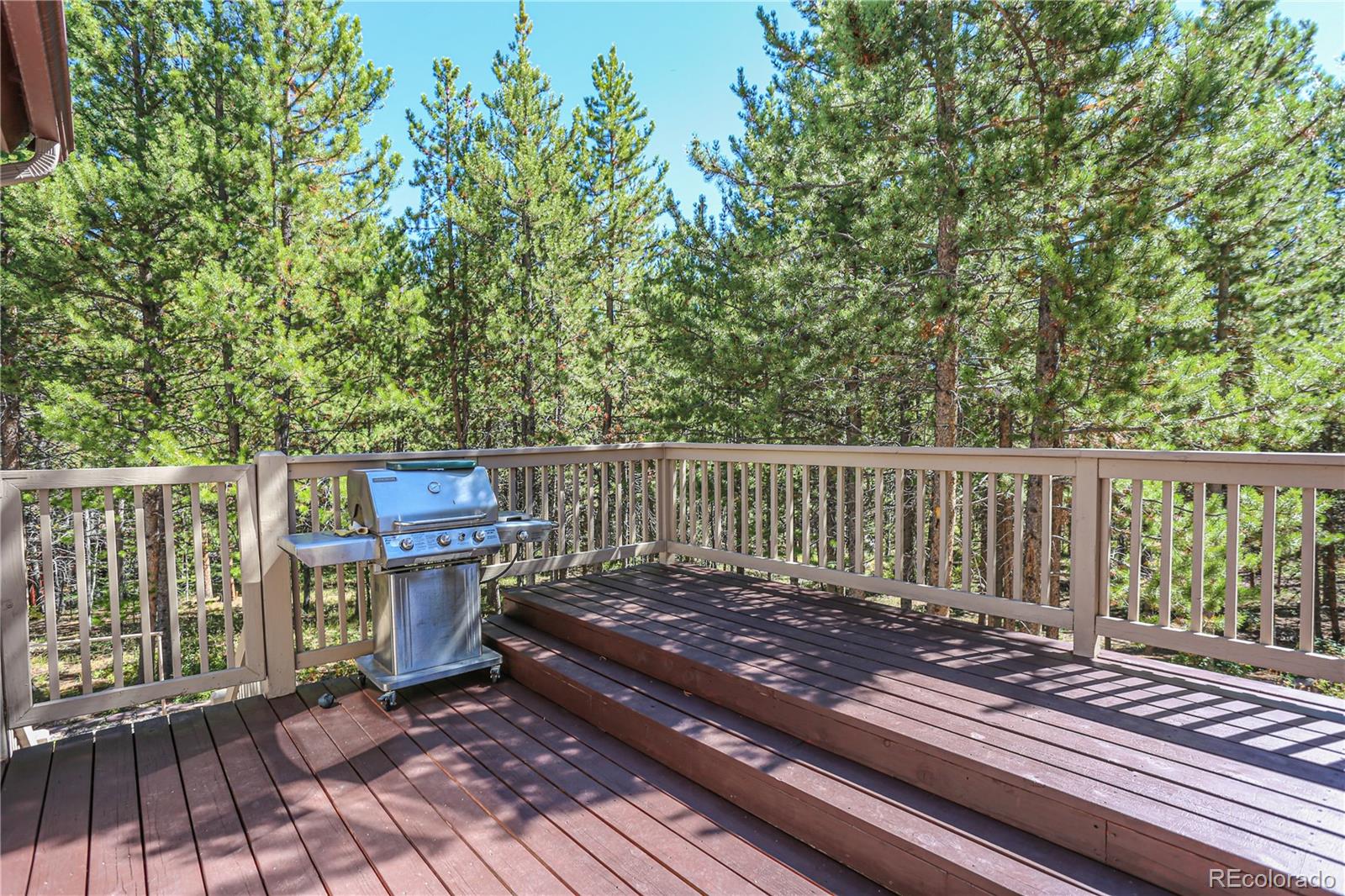 MLS Image #39 for 308  red hawk circle,silverthorne, Colorado