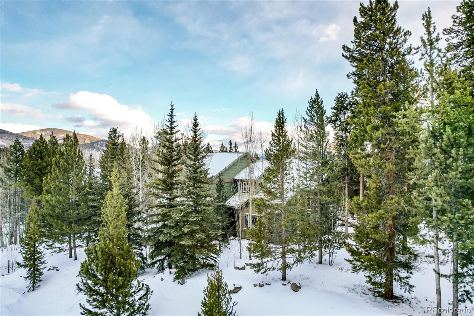 MLS Image #46 for 308  red hawk circle,silverthorne, Colorado