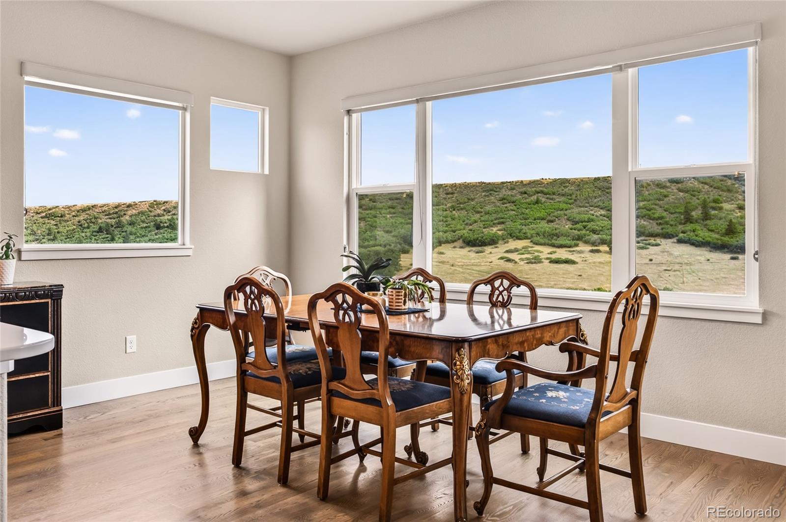 MLS Image #31 for 3793  forest lakes drive,monument, Colorado