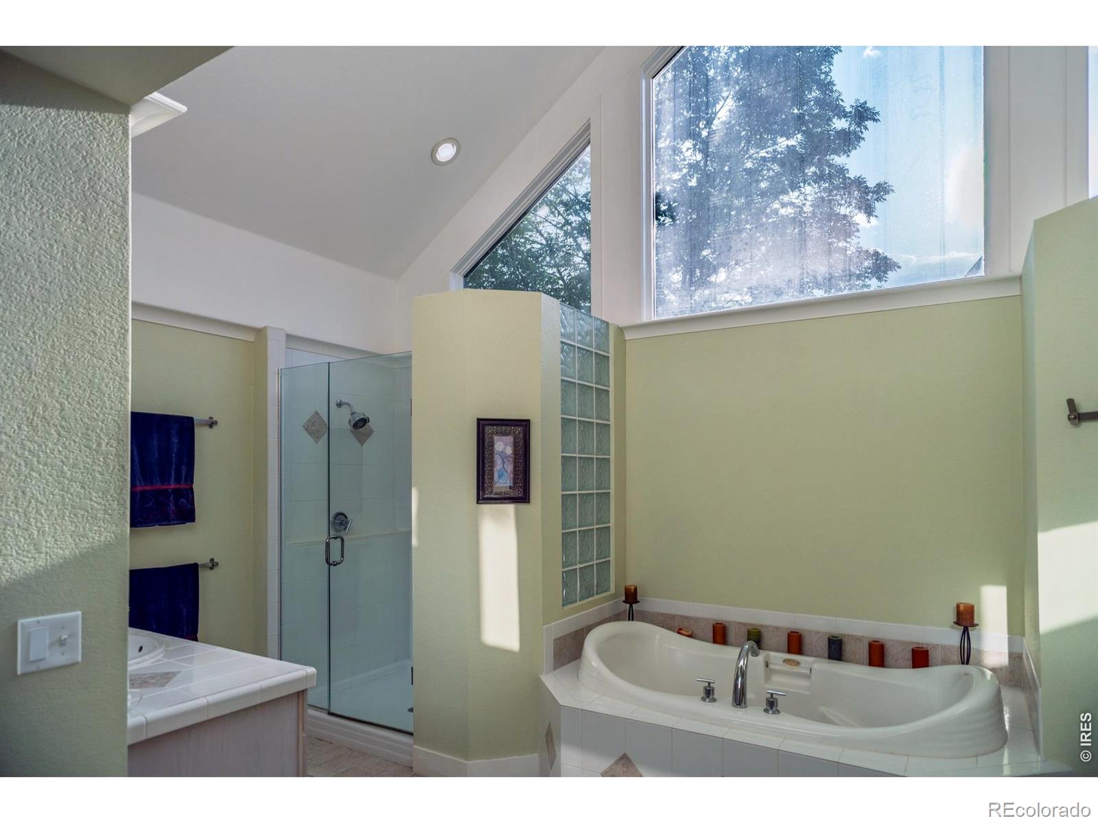MLS Image #13 for 4080  greens place,longmont, Colorado