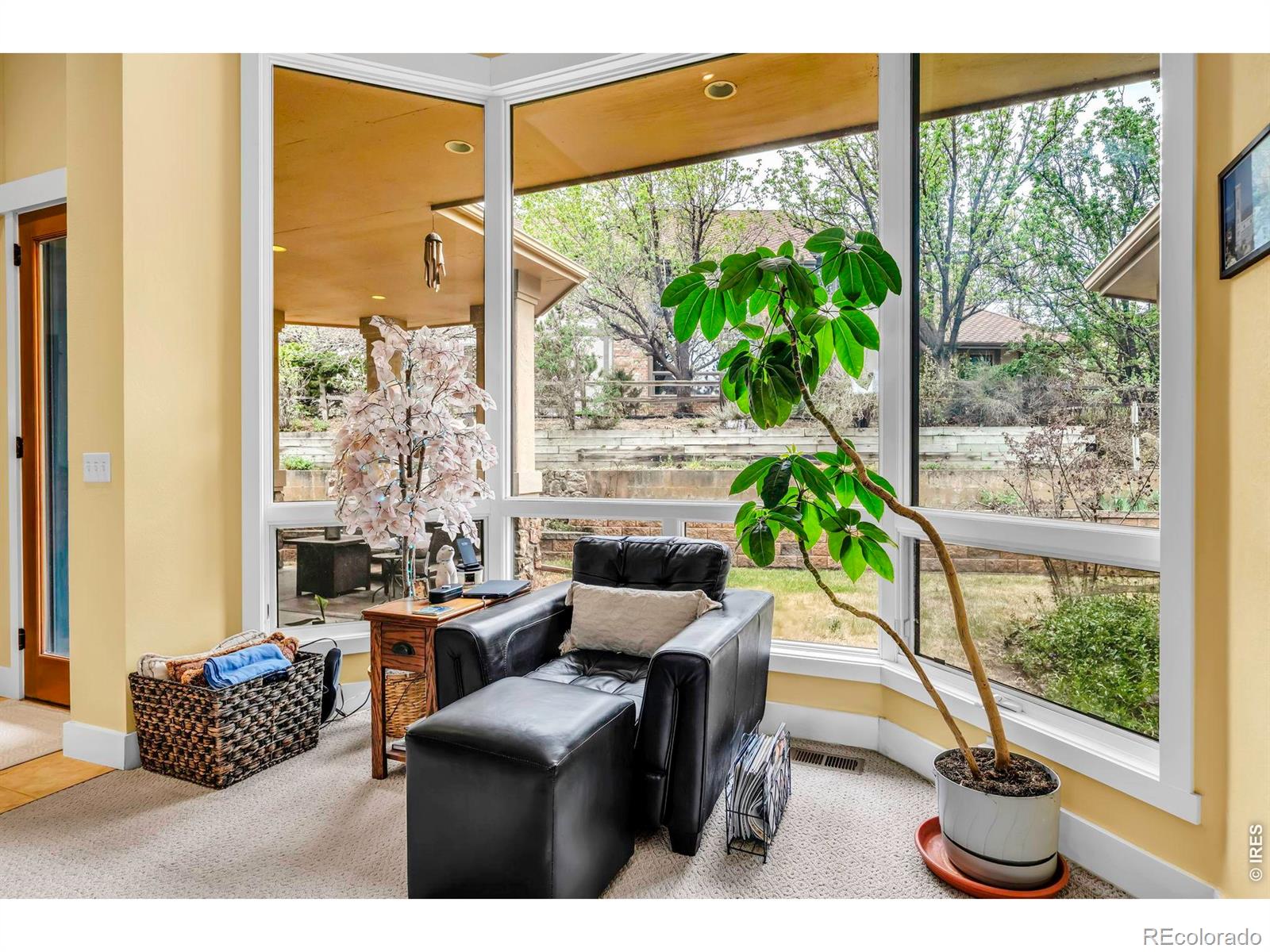MLS Image #5 for 4080  greens place,longmont, Colorado