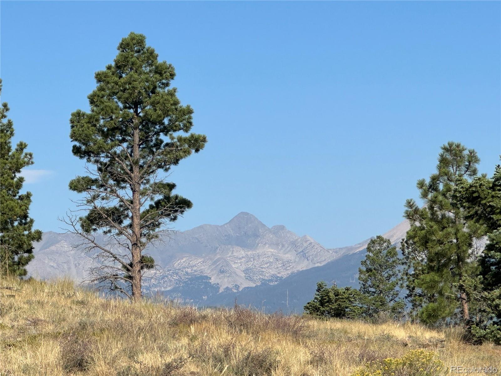 MLS Image #10 for 287  hagin lane,fort garland, Colorado