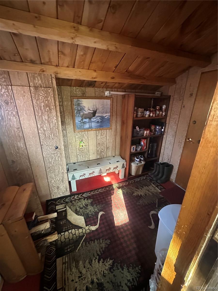 MLS Image #15 for 287  hagin lane,fort garland, Colorado