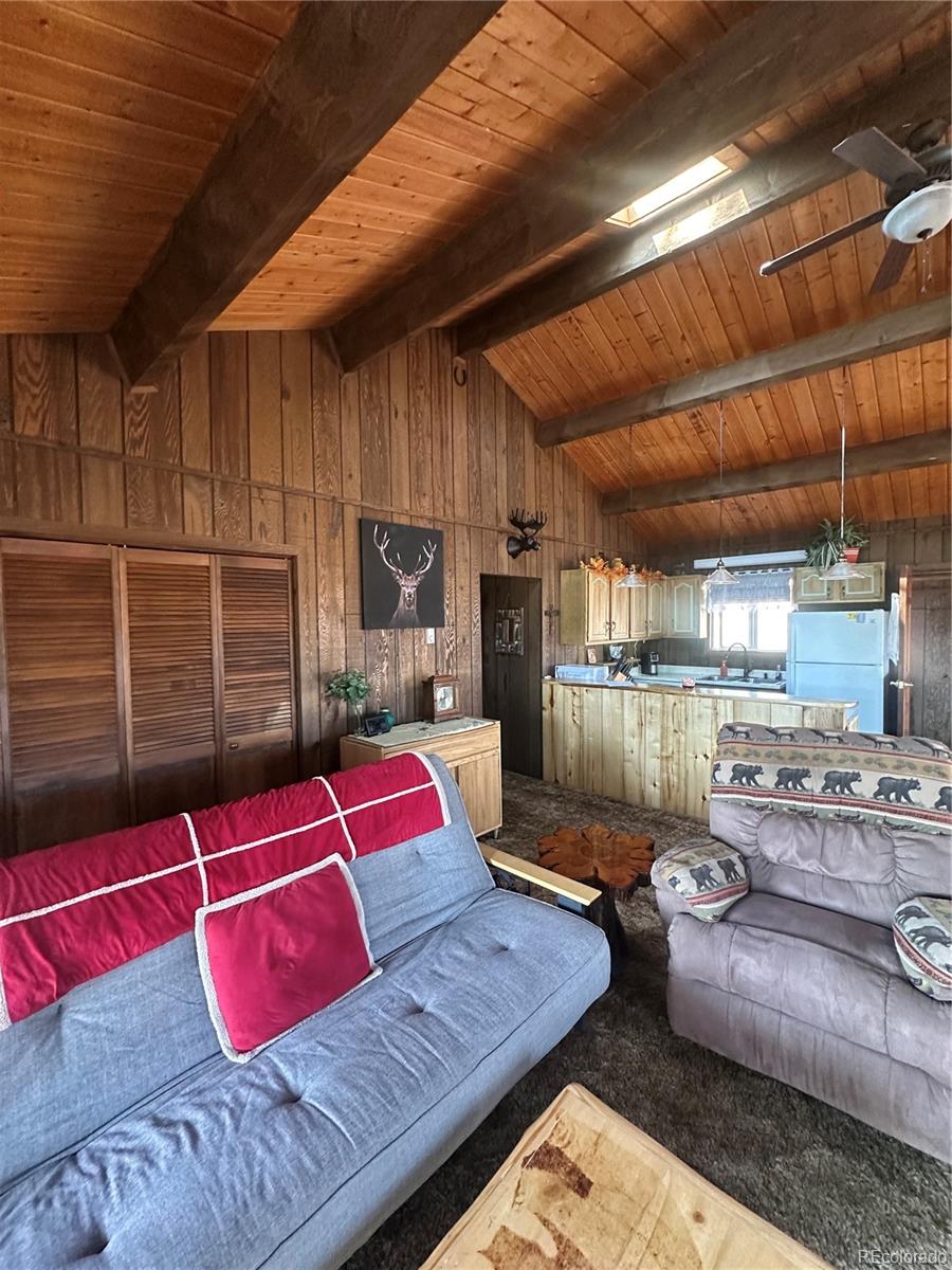 MLS Image #16 for 287  hagin lane,fort garland, Colorado