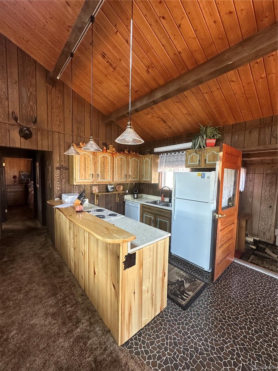 MLS Image #17 for 287  hagin lane,fort garland, Colorado