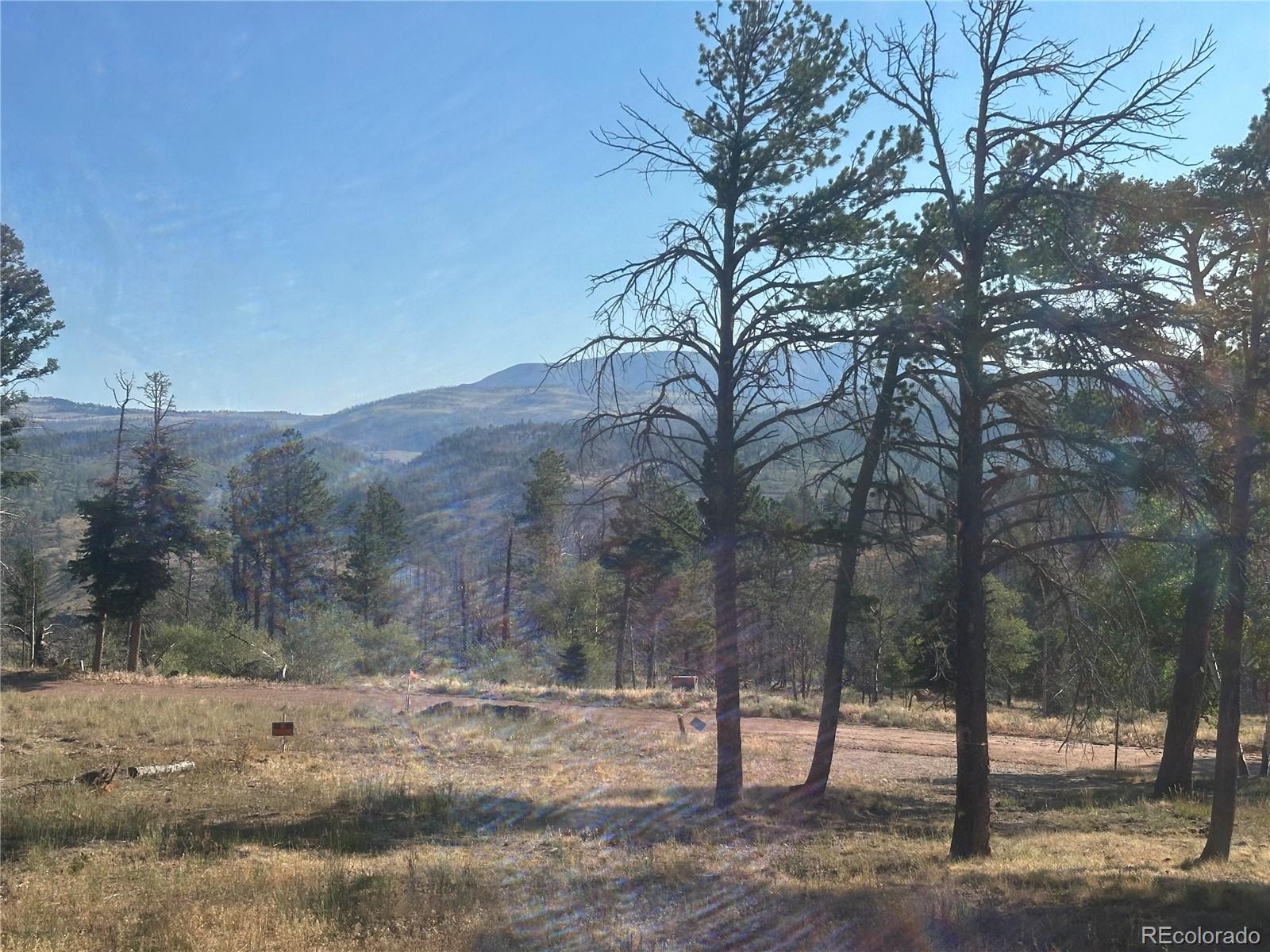 MLS Image #9 for 287  hagin lane,fort garland, Colorado