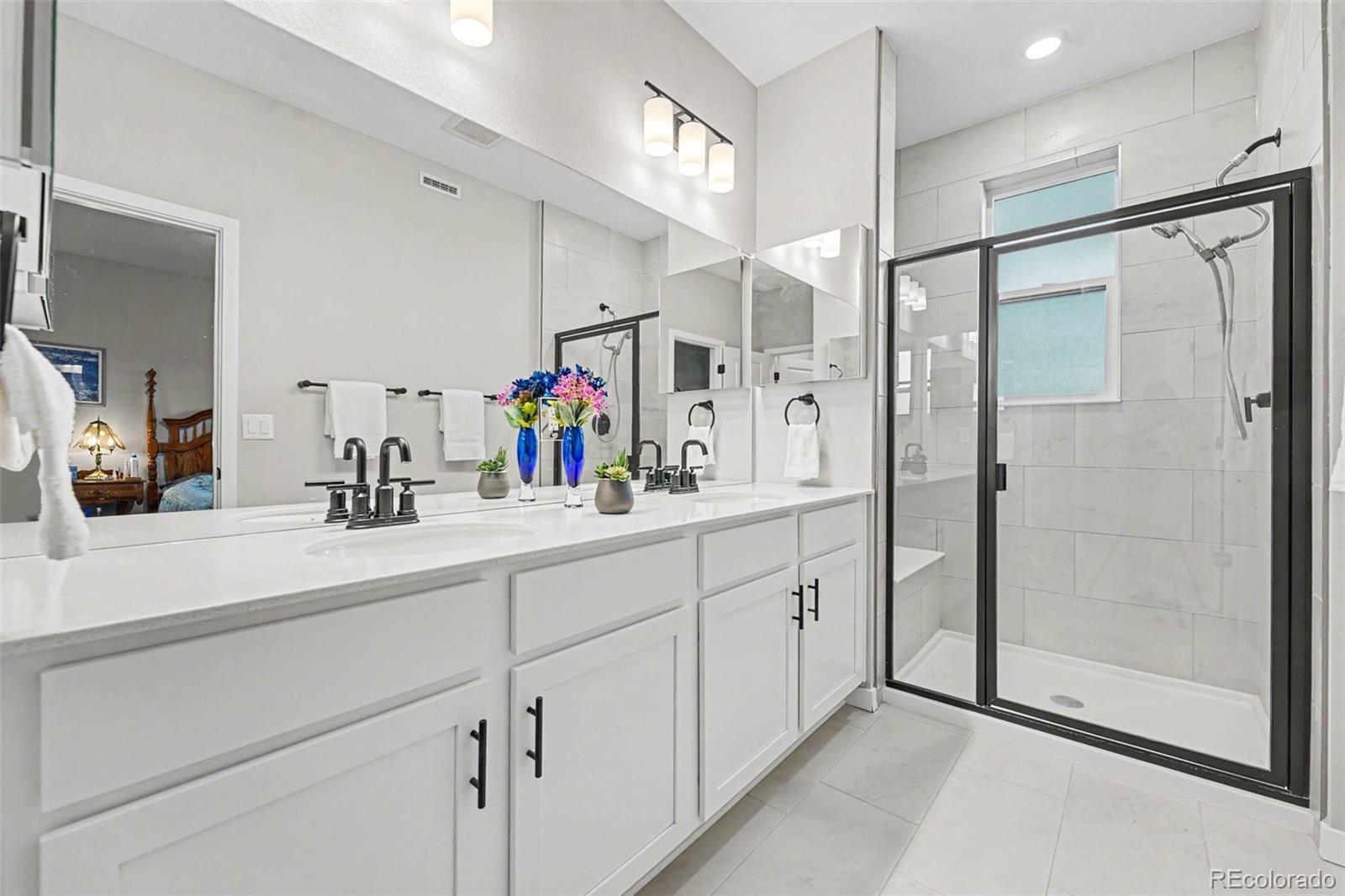 MLS Image #10 for 8407  mount kataka street,littleton, Colorado