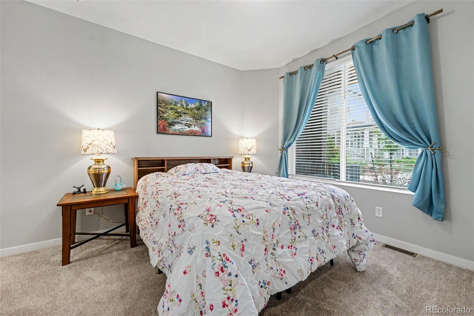 MLS Image #11 for 8407  mount kataka street,littleton, Colorado