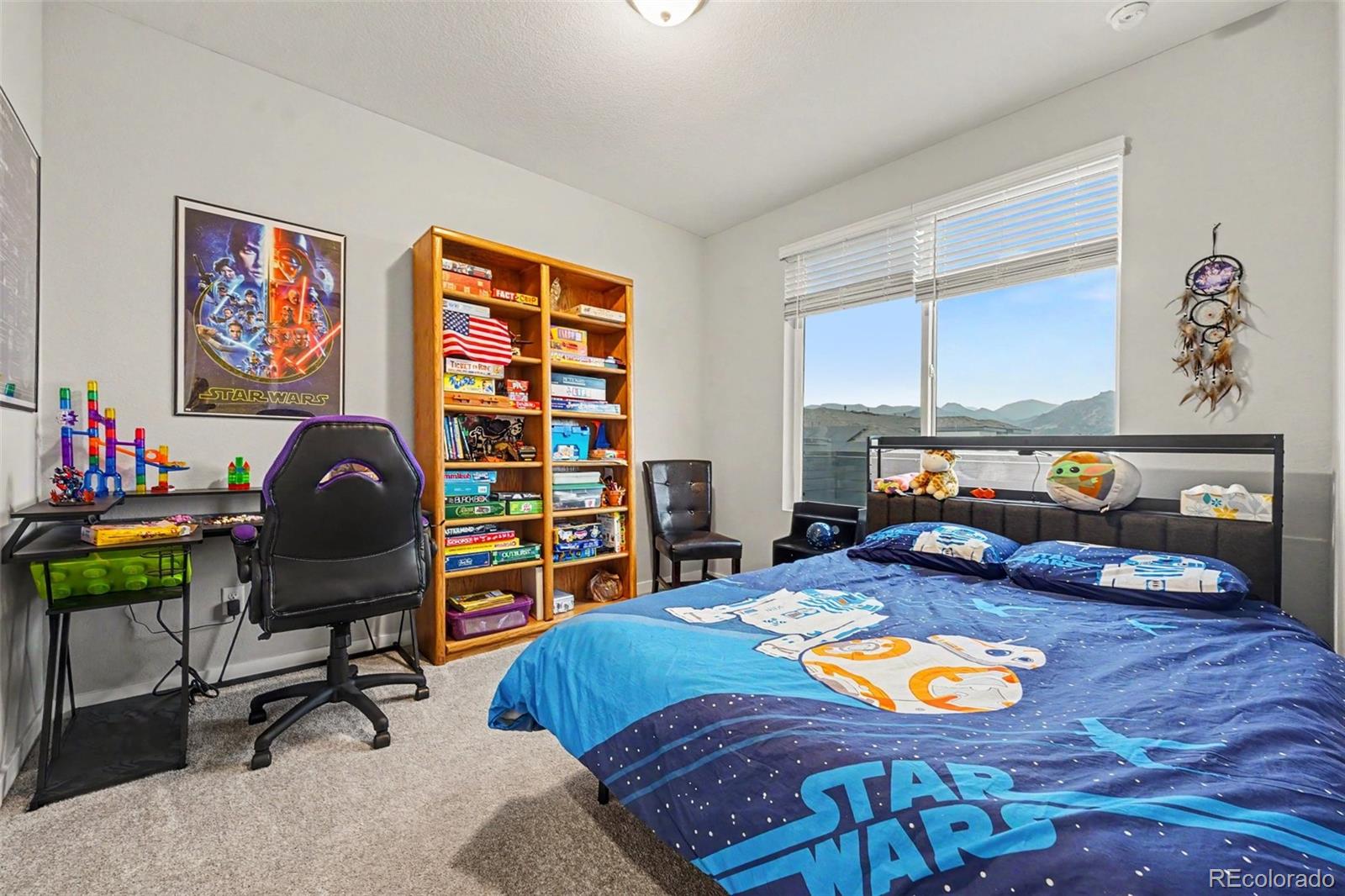 MLS Image #14 for 8407  mount kataka street,littleton, Colorado