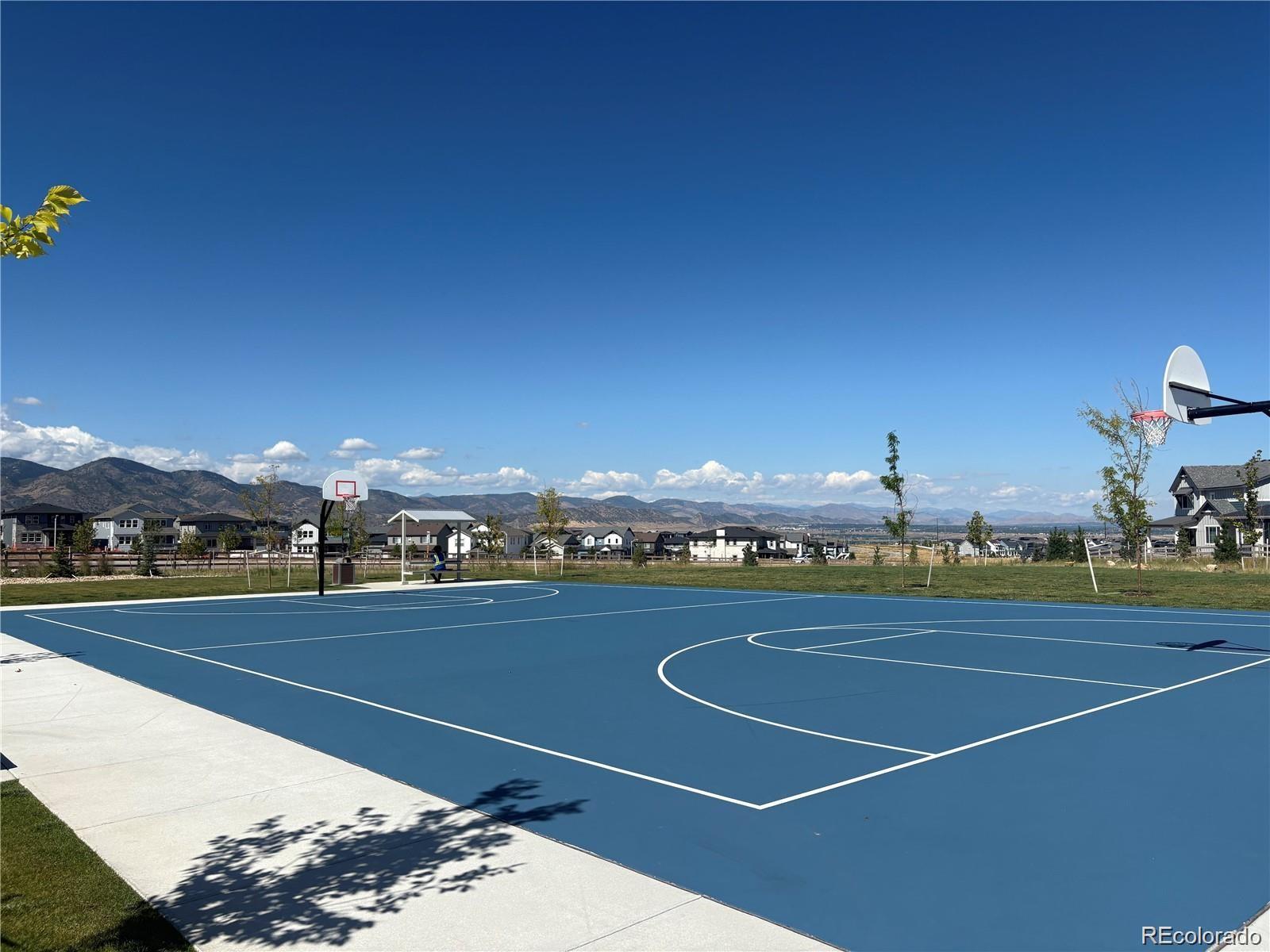 MLS Image #30 for 8407  mount kataka street,littleton, Colorado