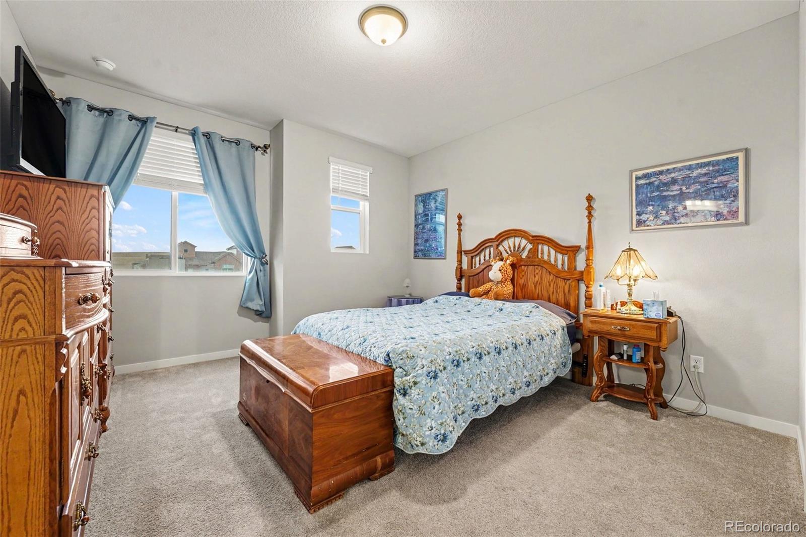 MLS Image #8 for 8407  mount kataka street,littleton, Colorado